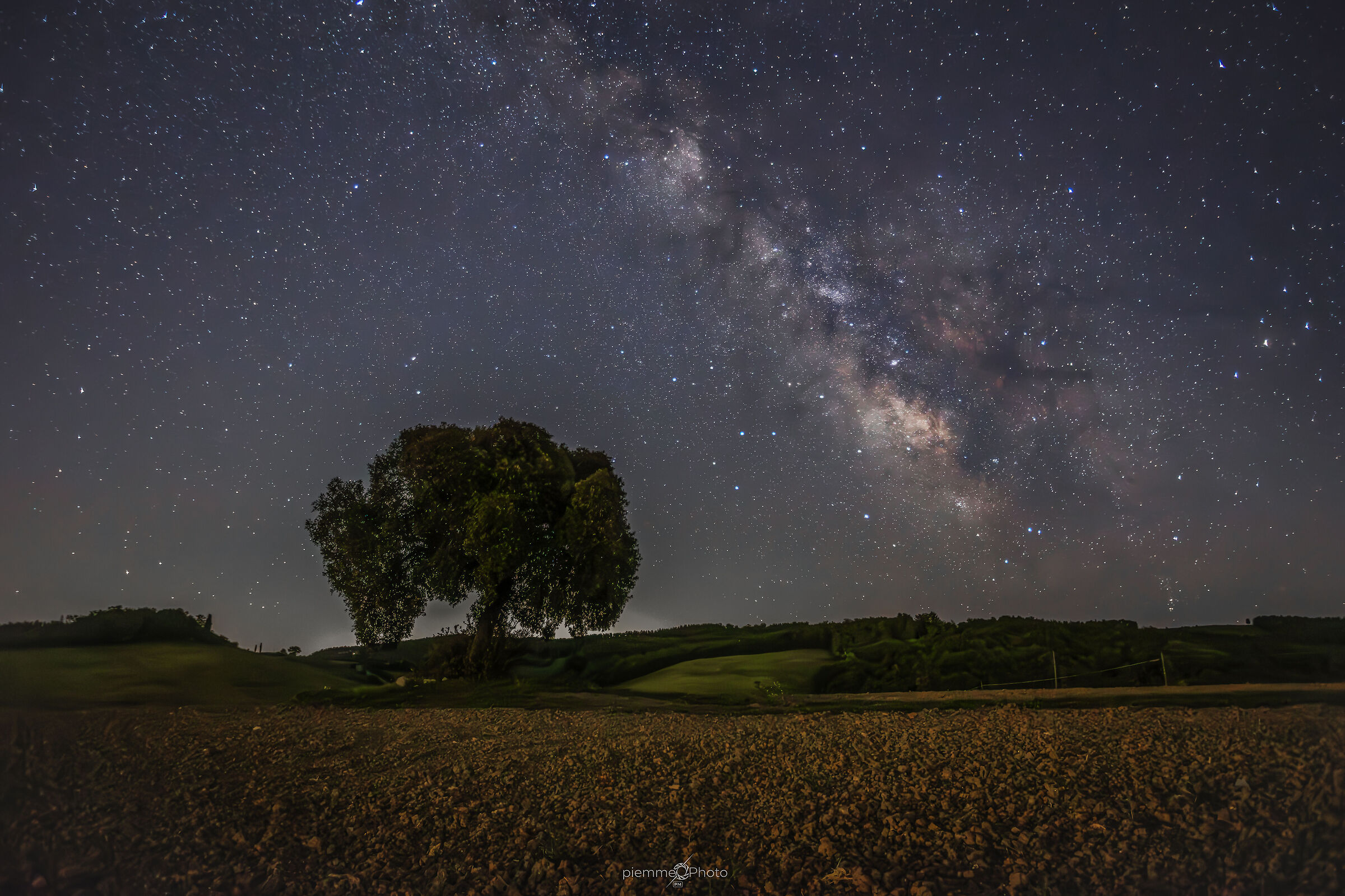 Il leccio e la via Lattea, Crete Senesi (Siena)