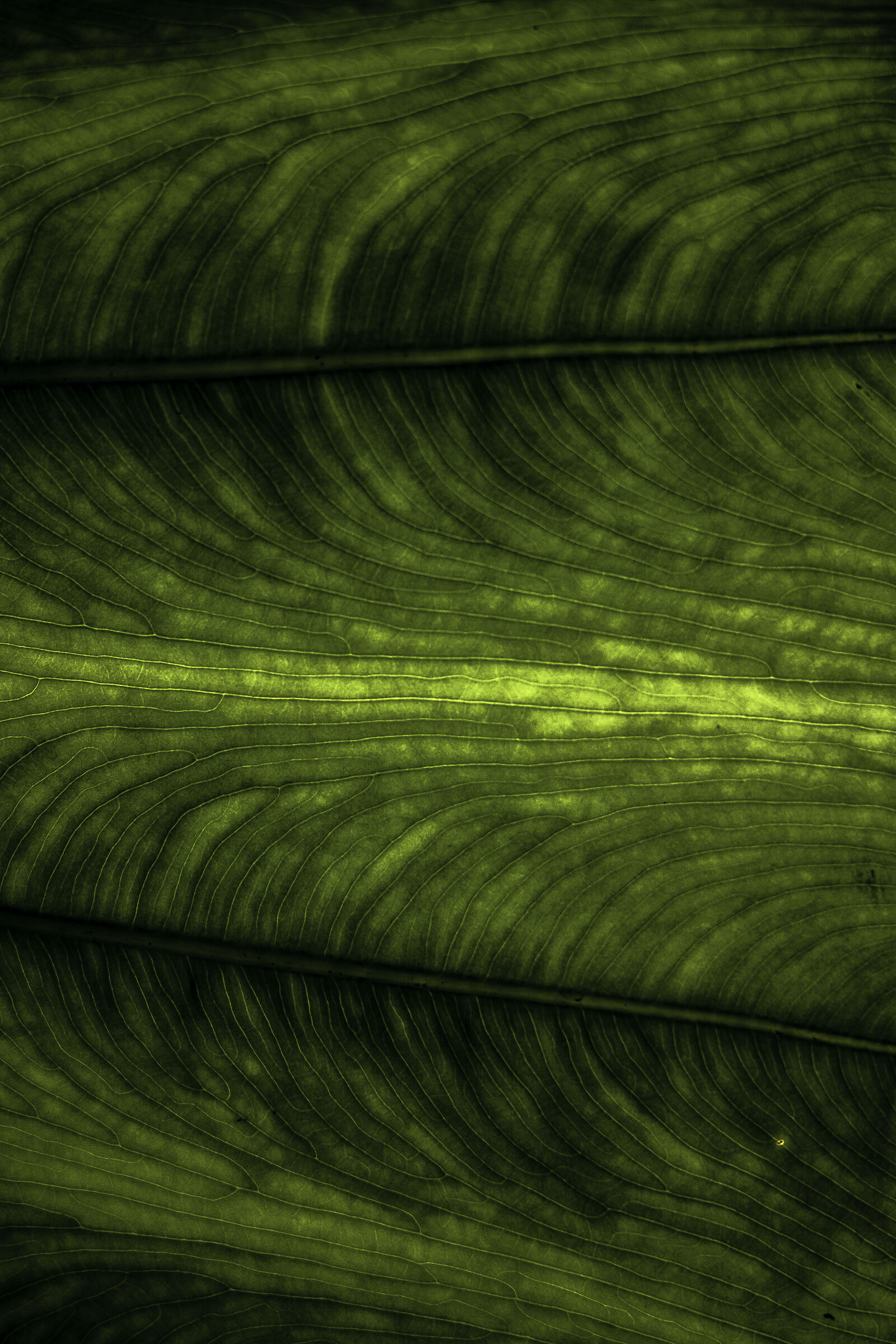 Textures