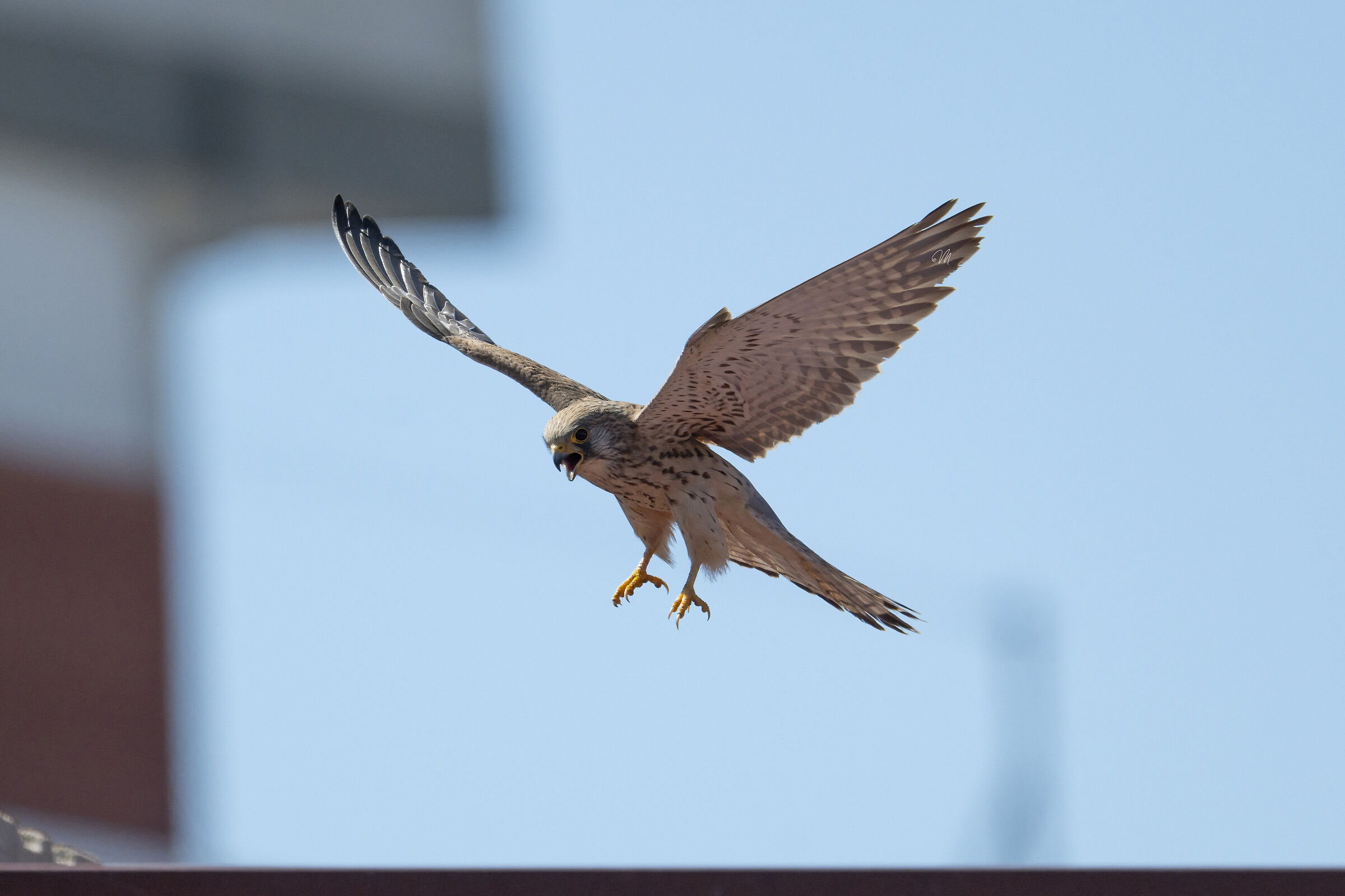 Perfect landing