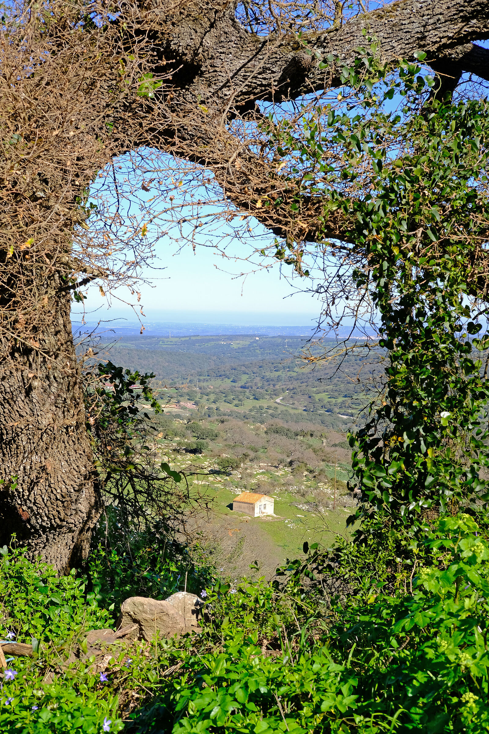 Sardinia, frame