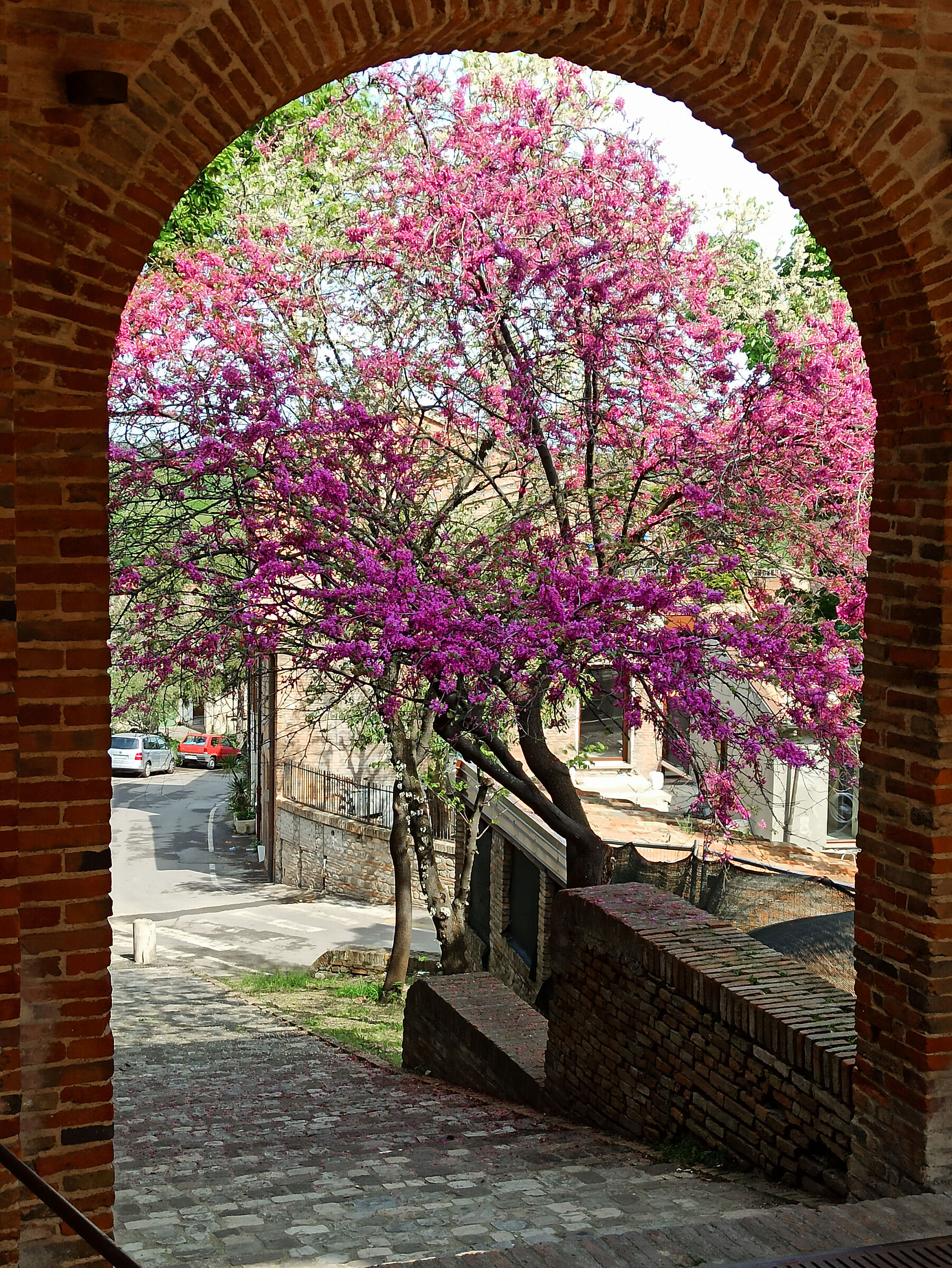 Sant'Arcangelo di Romagna
