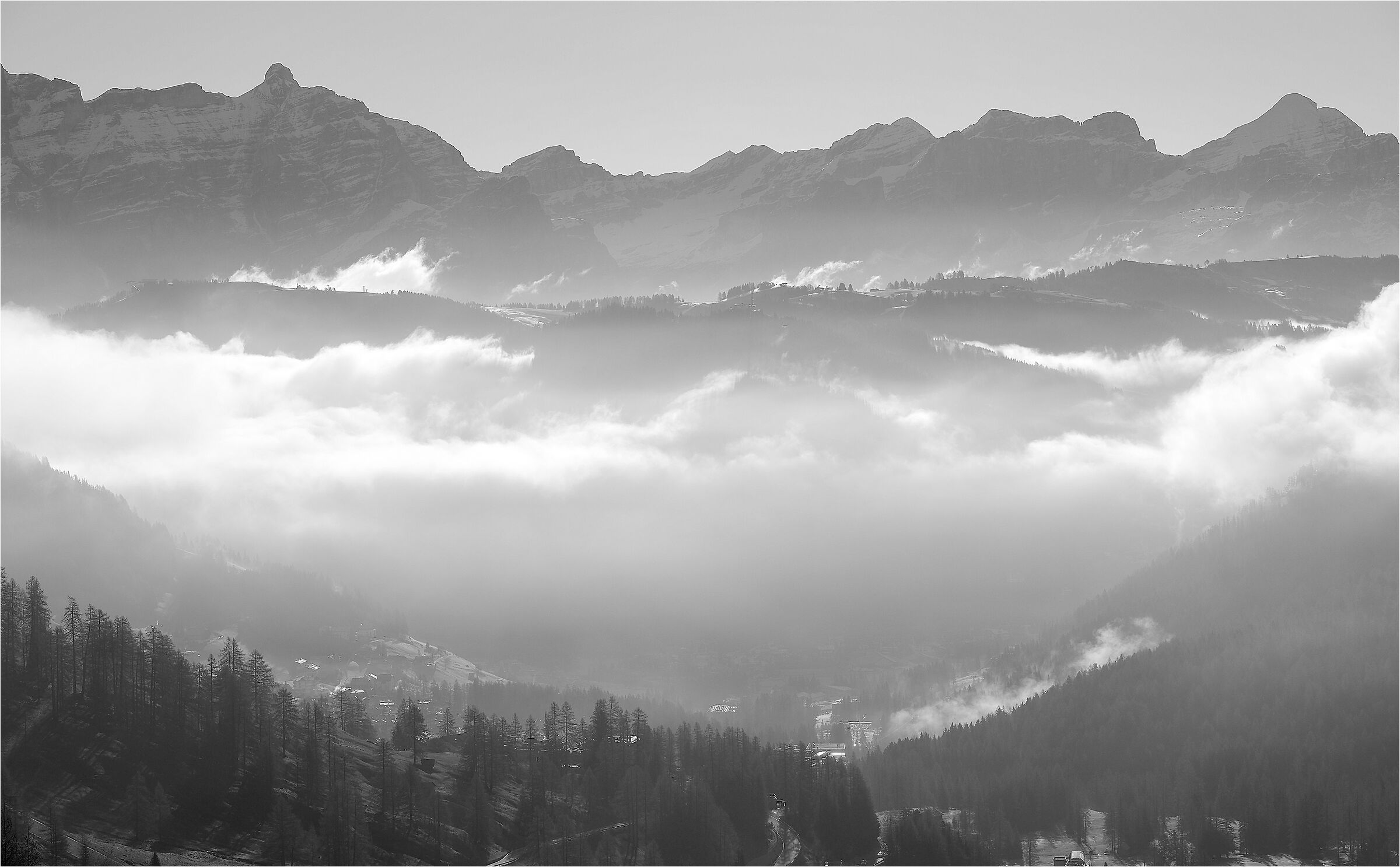-stati d'animo della nebbia mattutina-