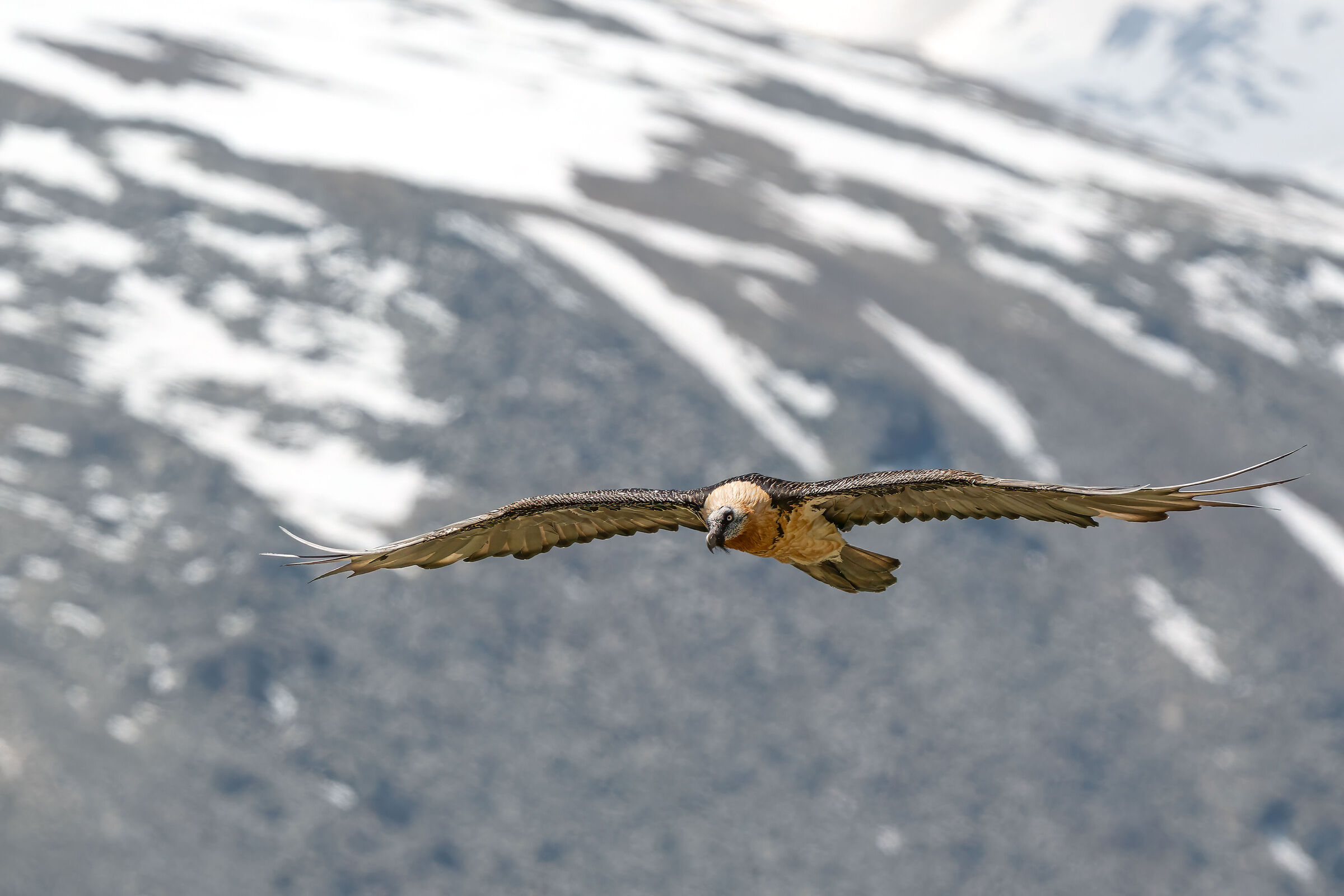 A glider