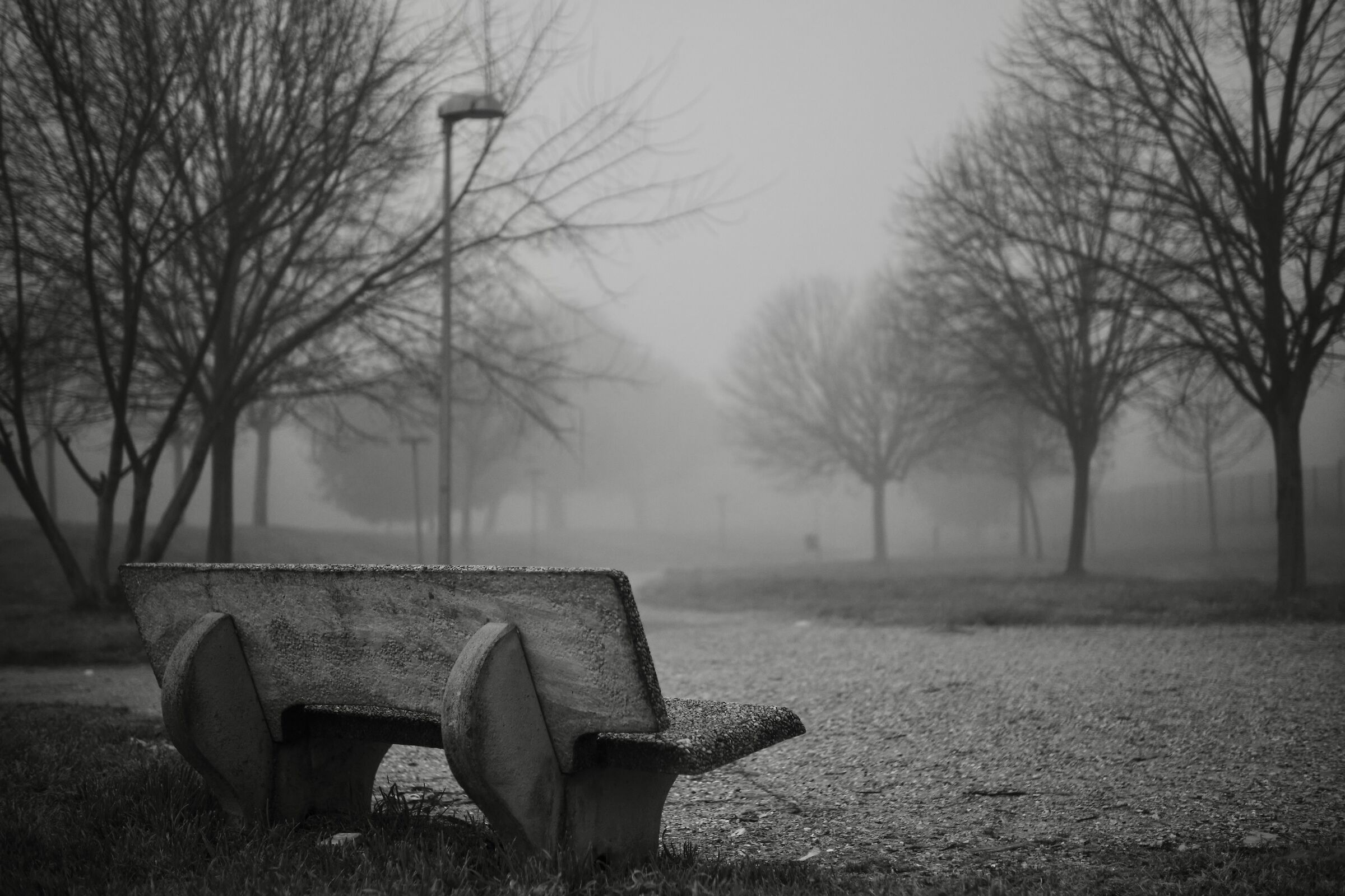 City Park