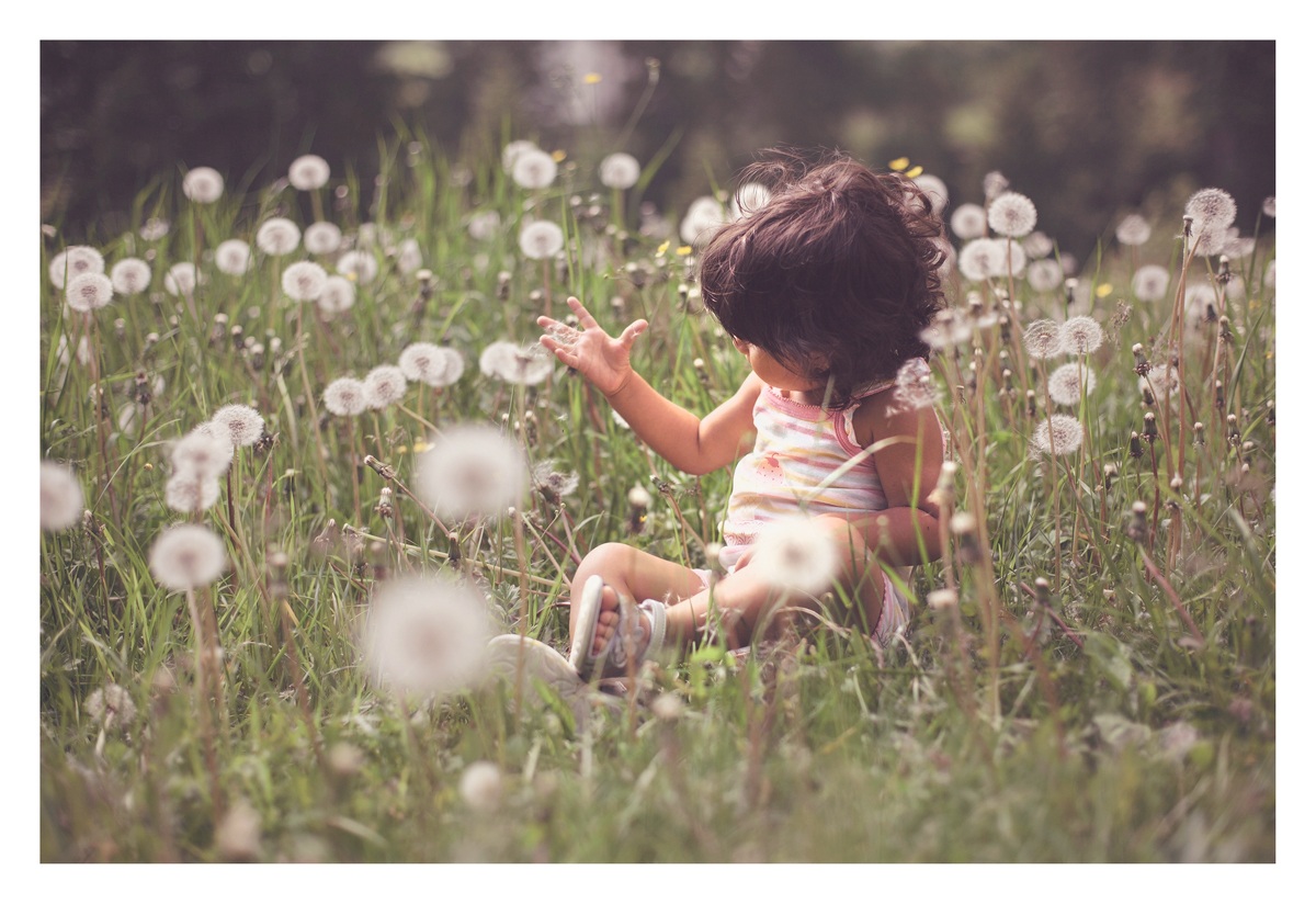 every day a new discovery