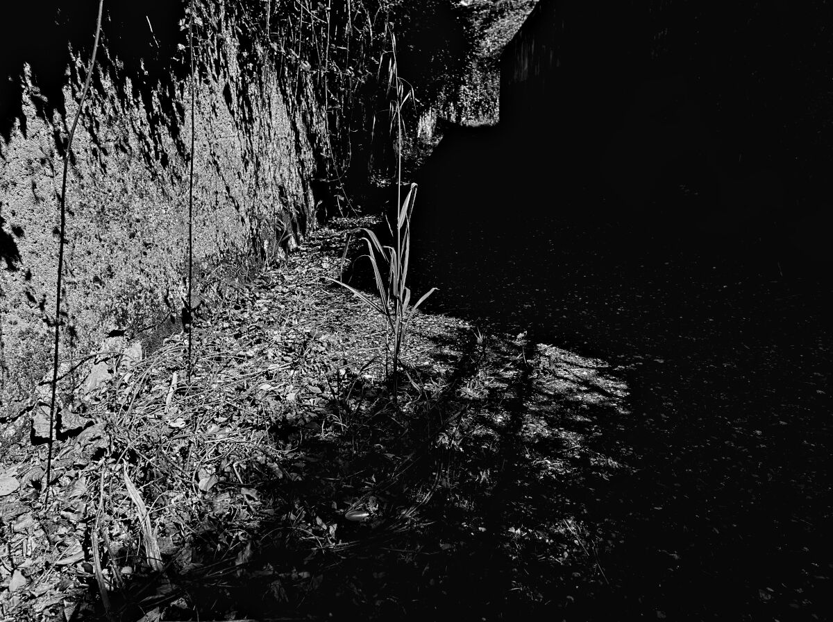 Luce e ombra