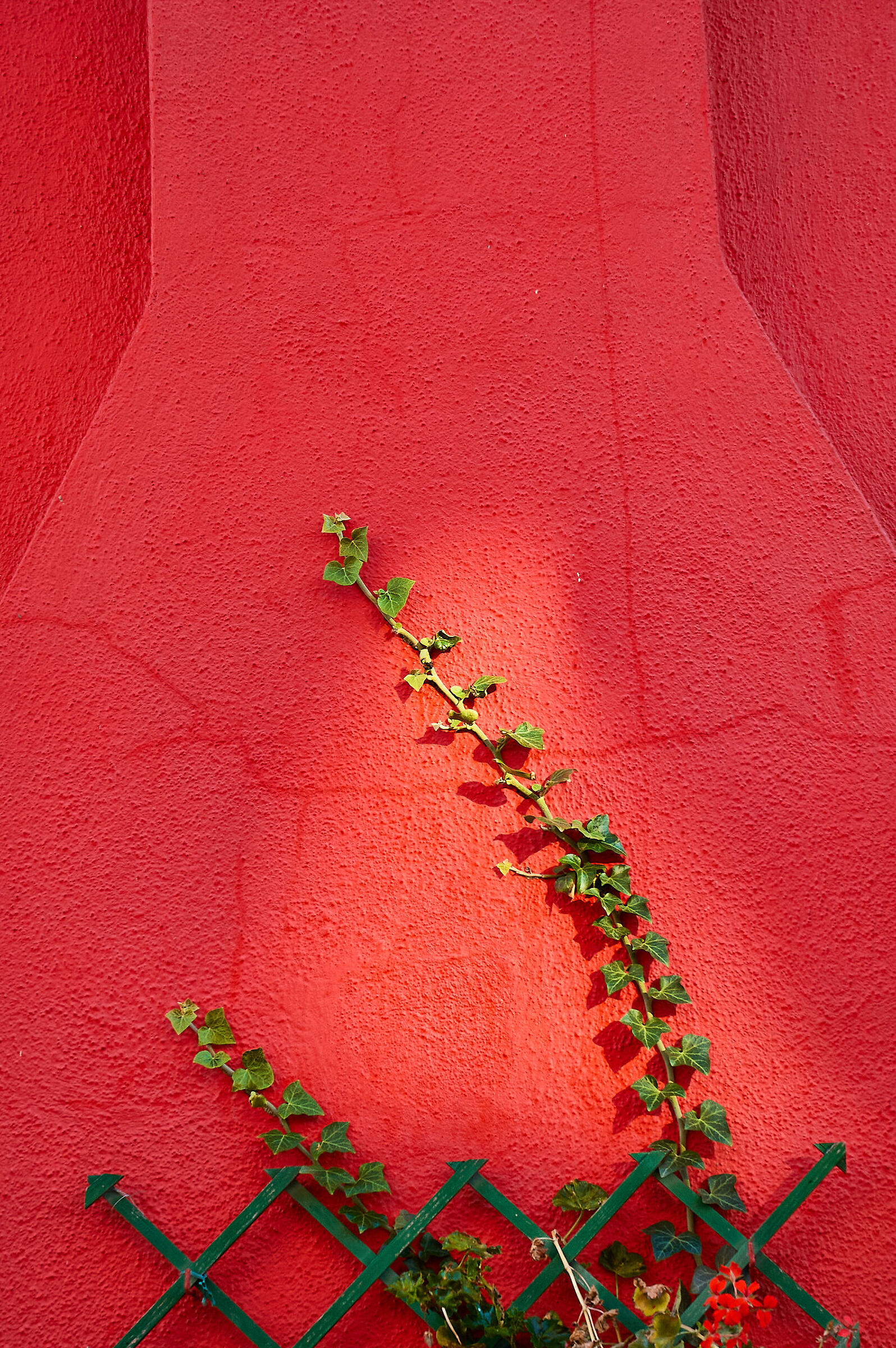 Climbing