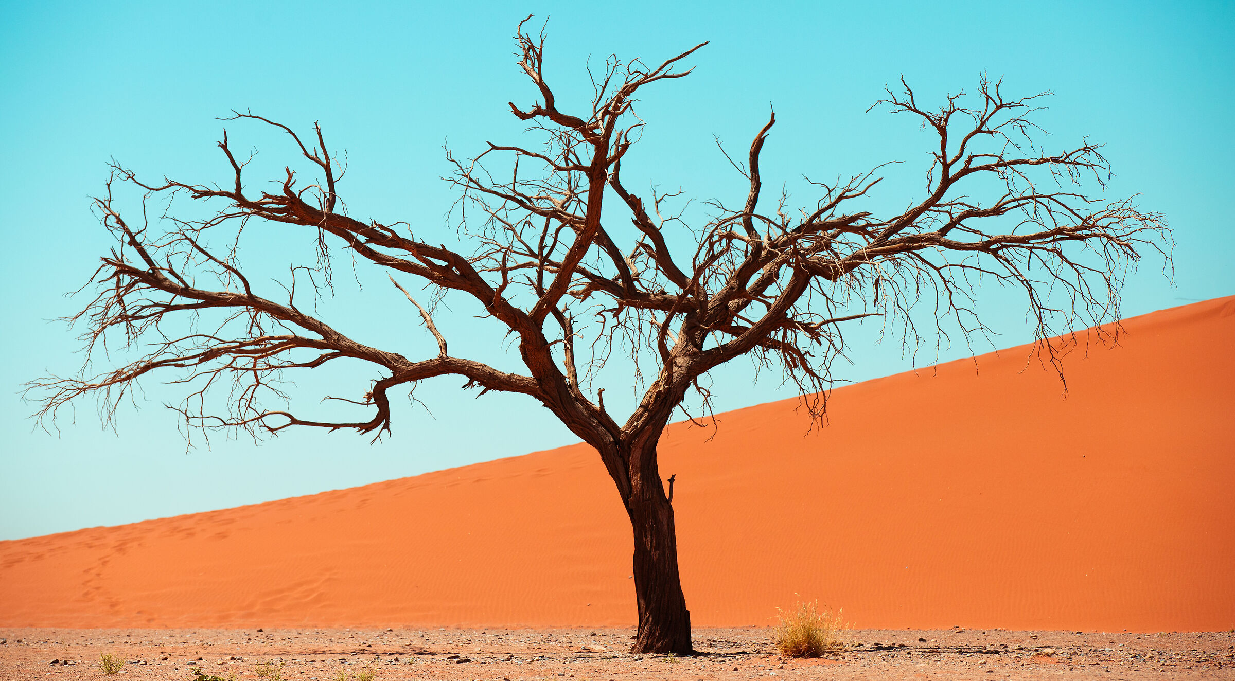 Prospettive nel deserto