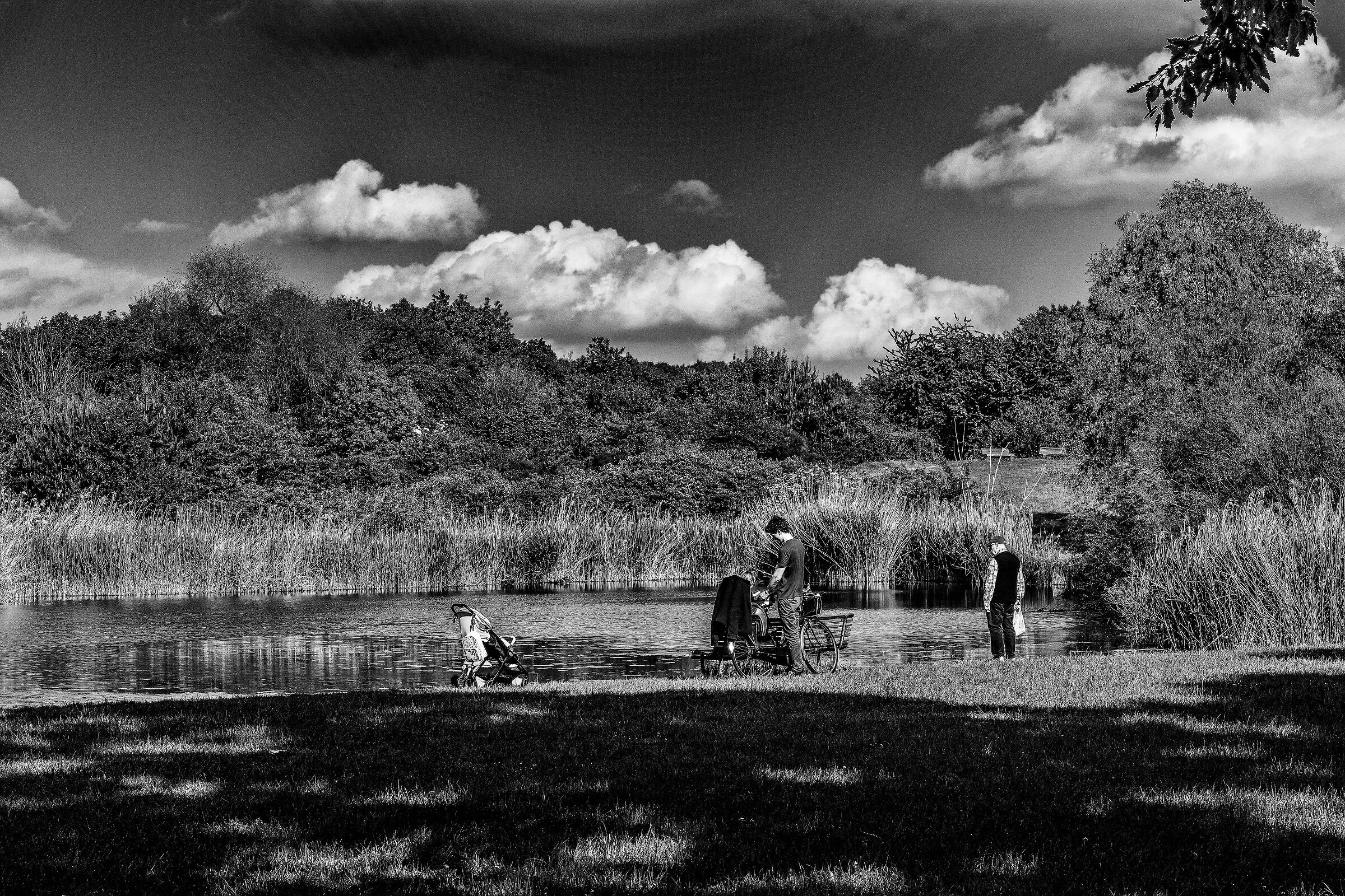Untitled Photo