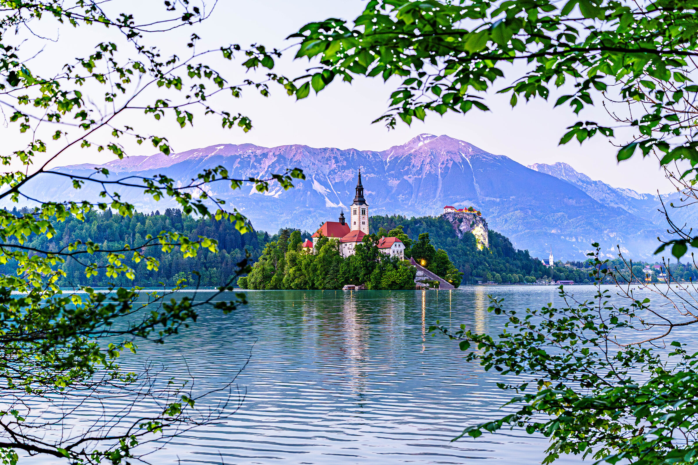 Bled