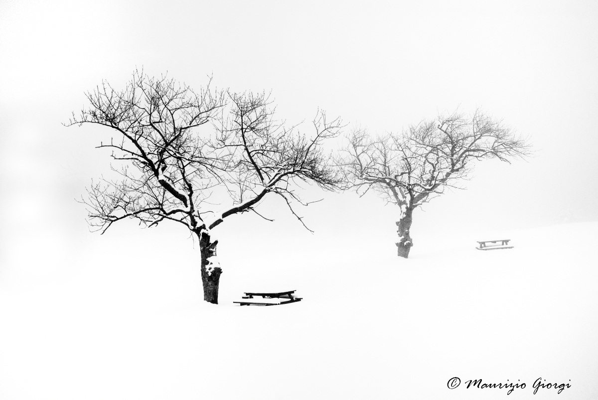 Nevicata a Santallago