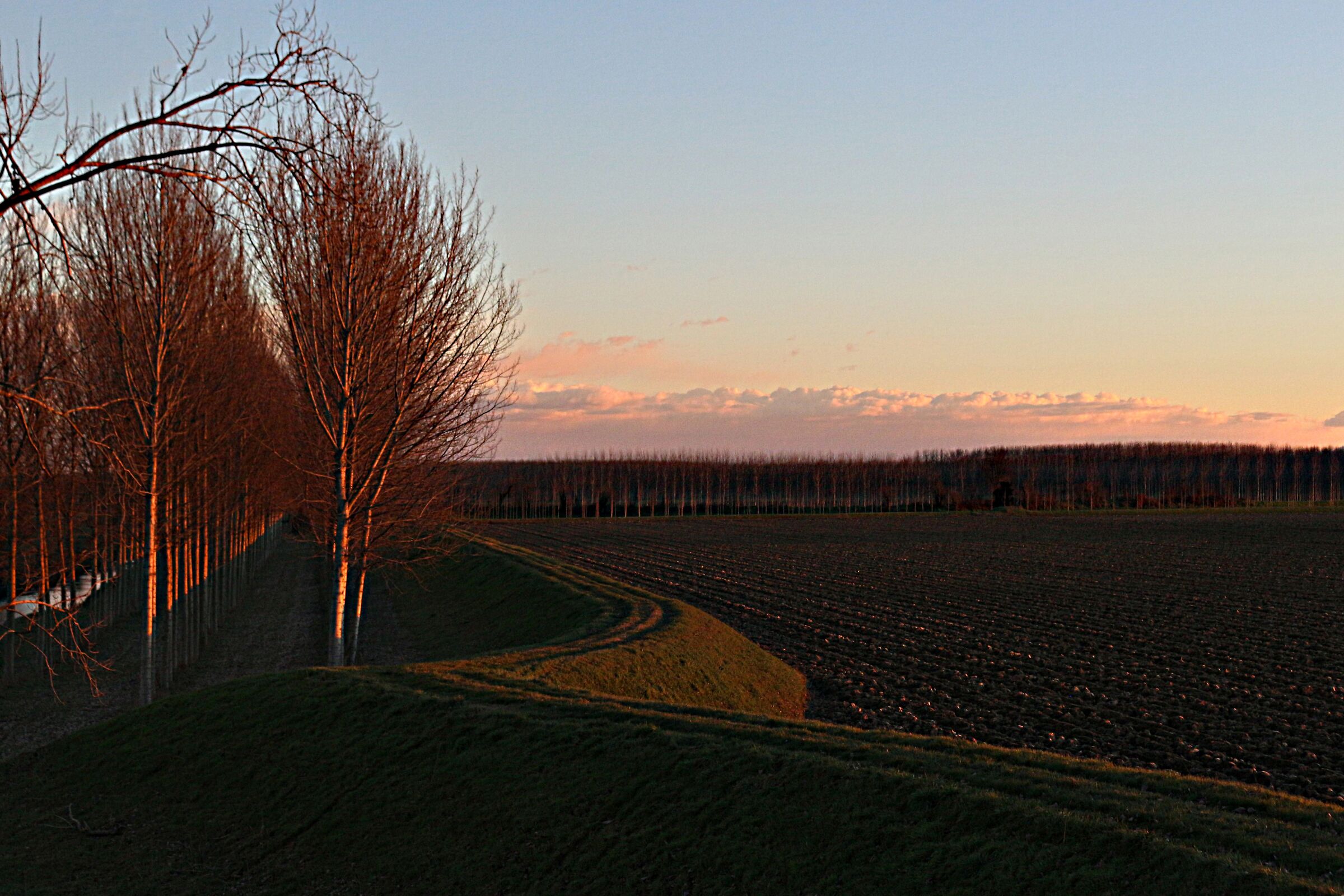 Last sun in the floodplain