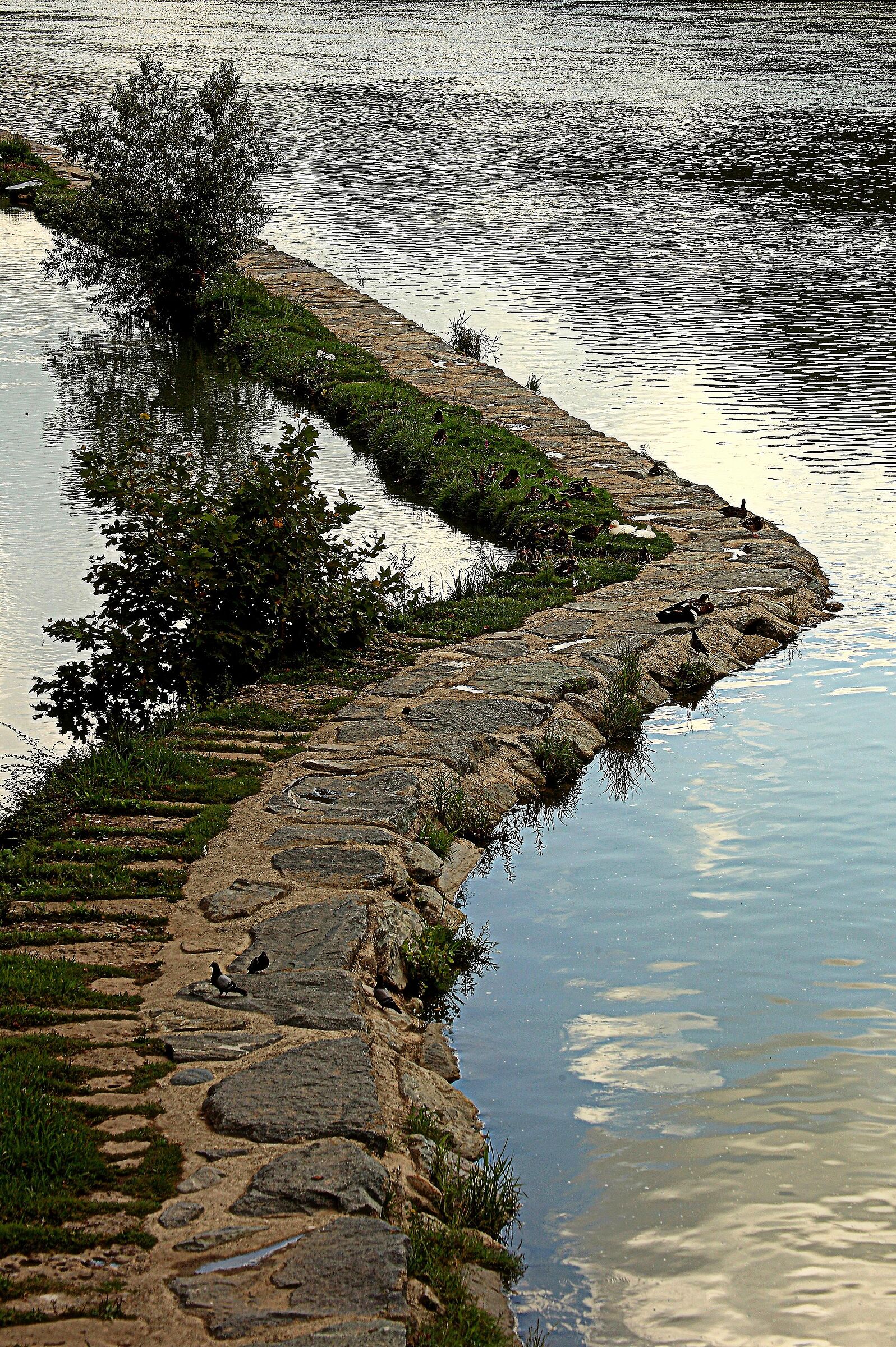 On the banks of the Adda