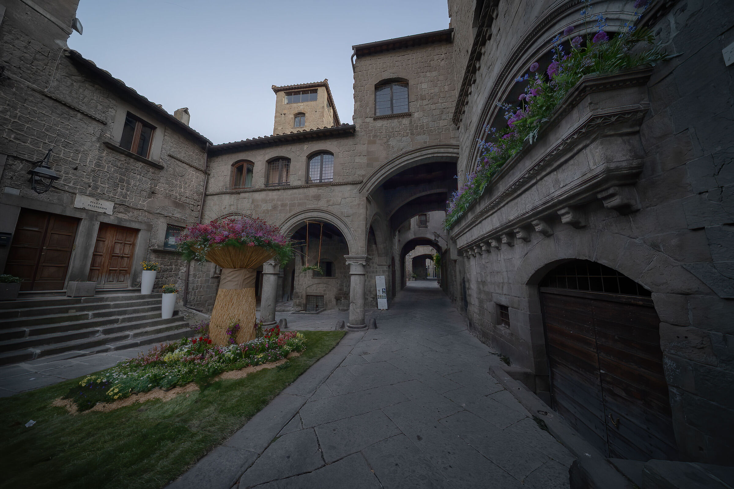 Viterbo, San Pellegrino, in fiore