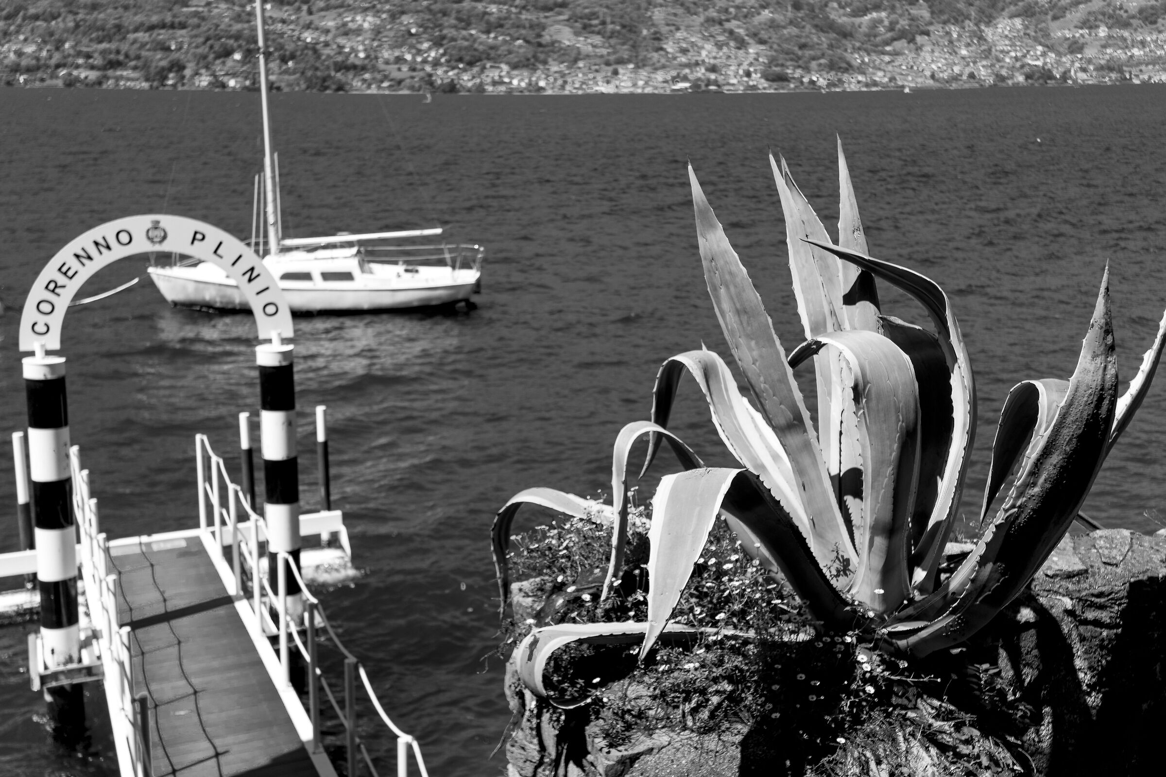 verso il pontile