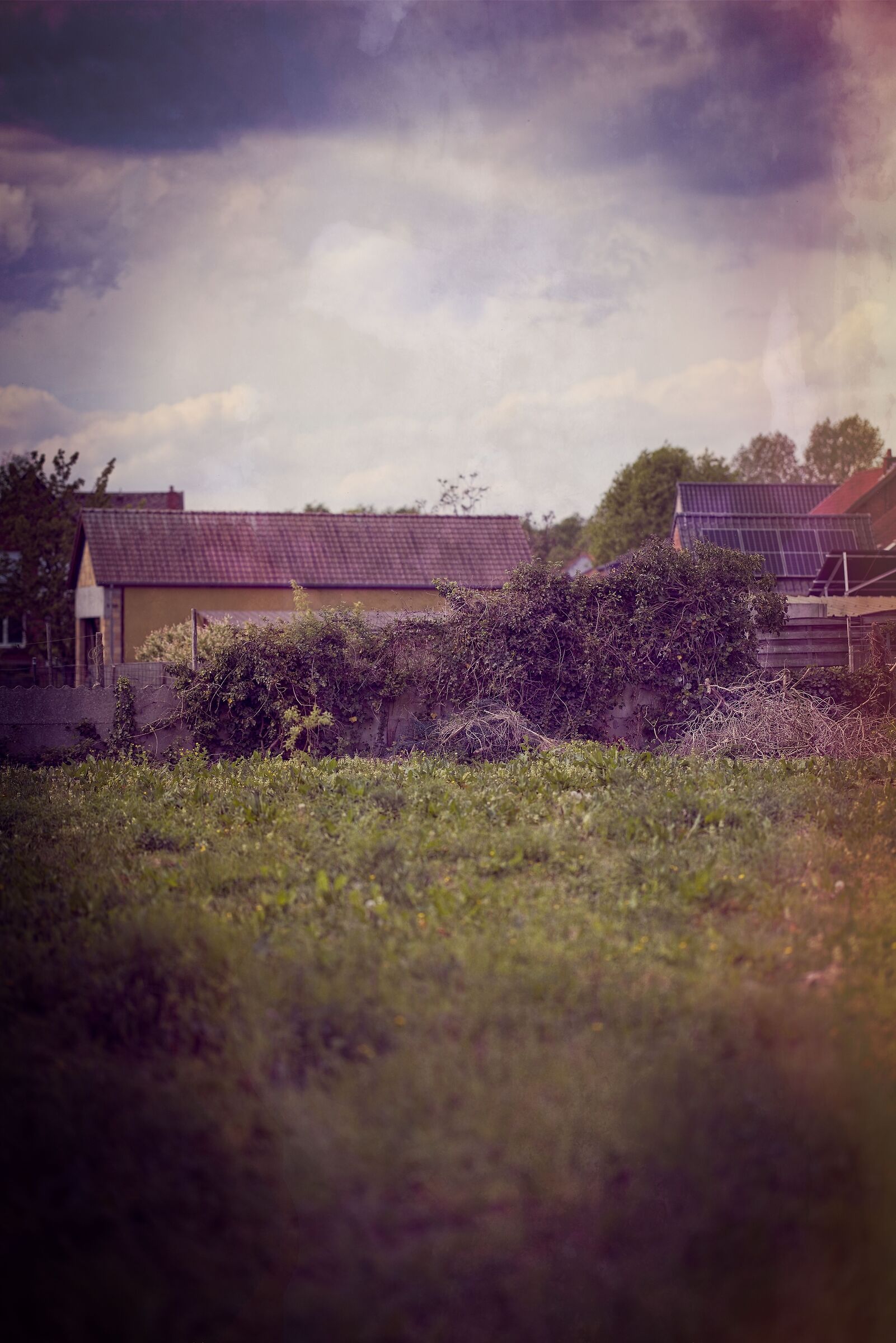 Dreamy landscape