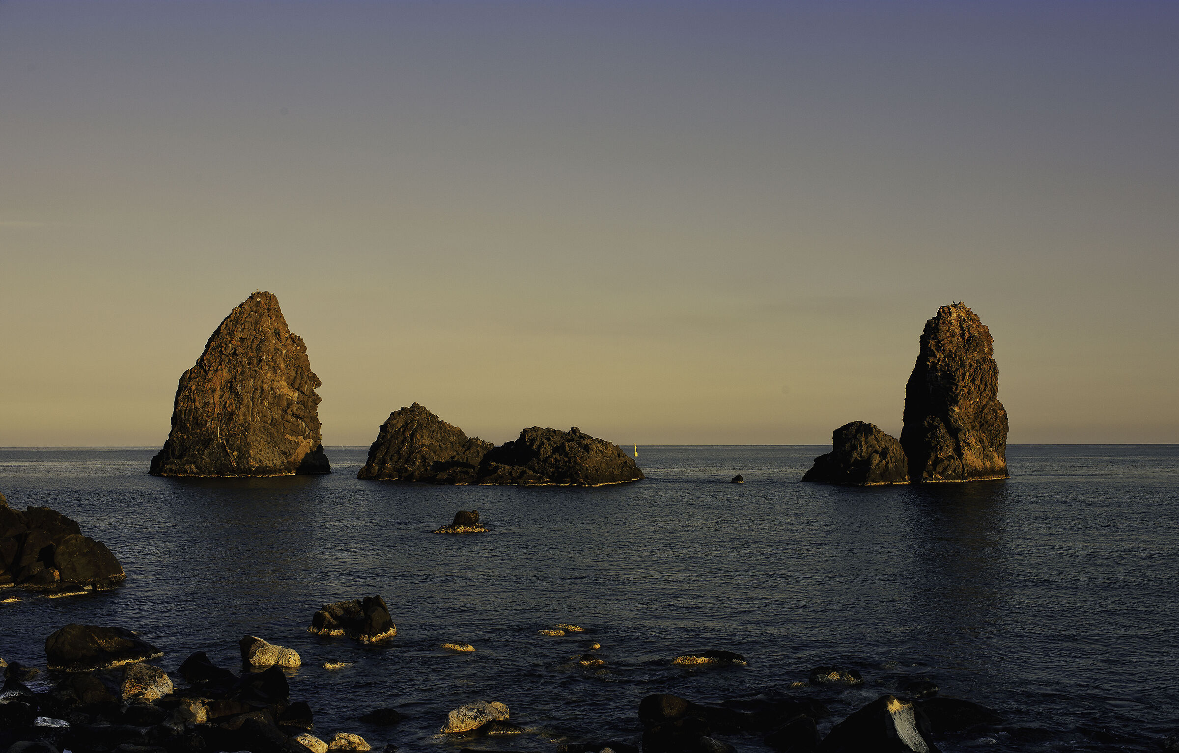 Untitled Photo