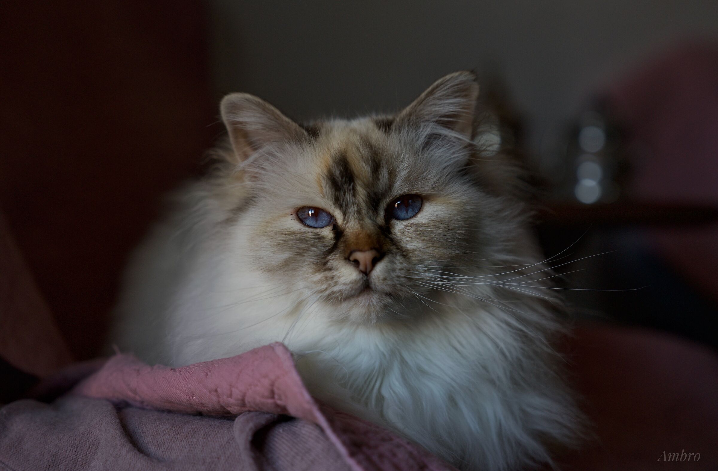 Lilith