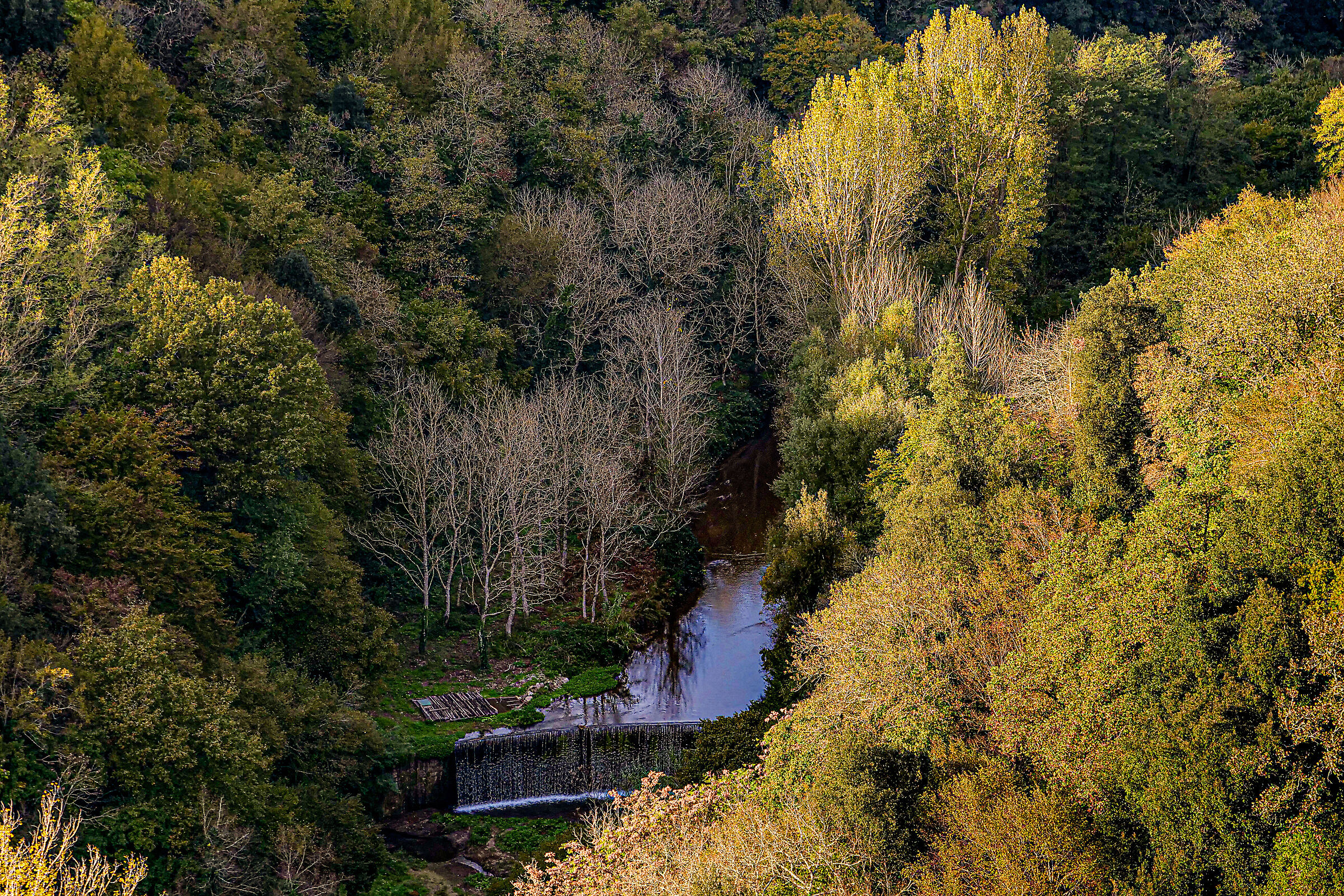 Nel bosco - Pitigliano
