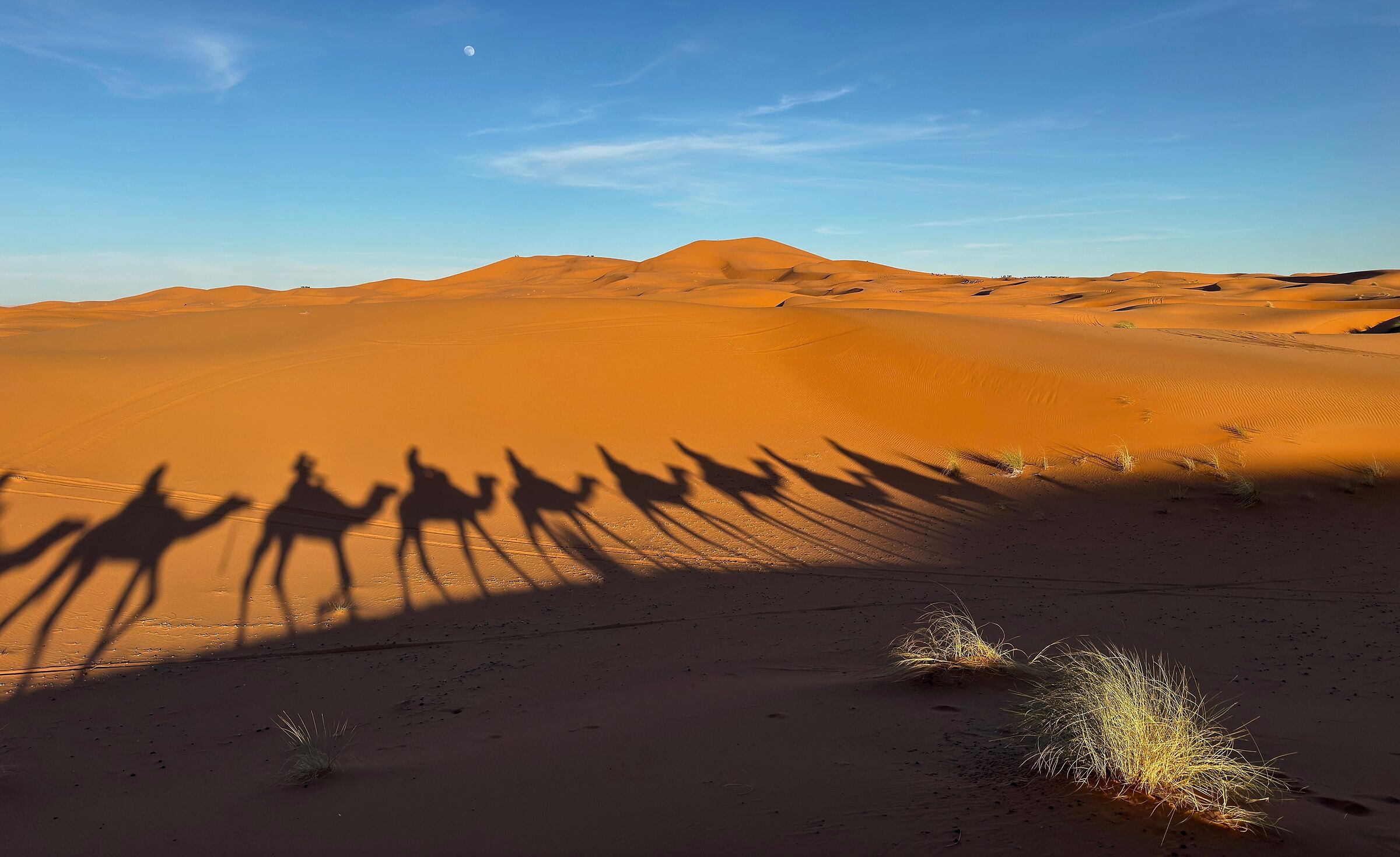 Magical desert light