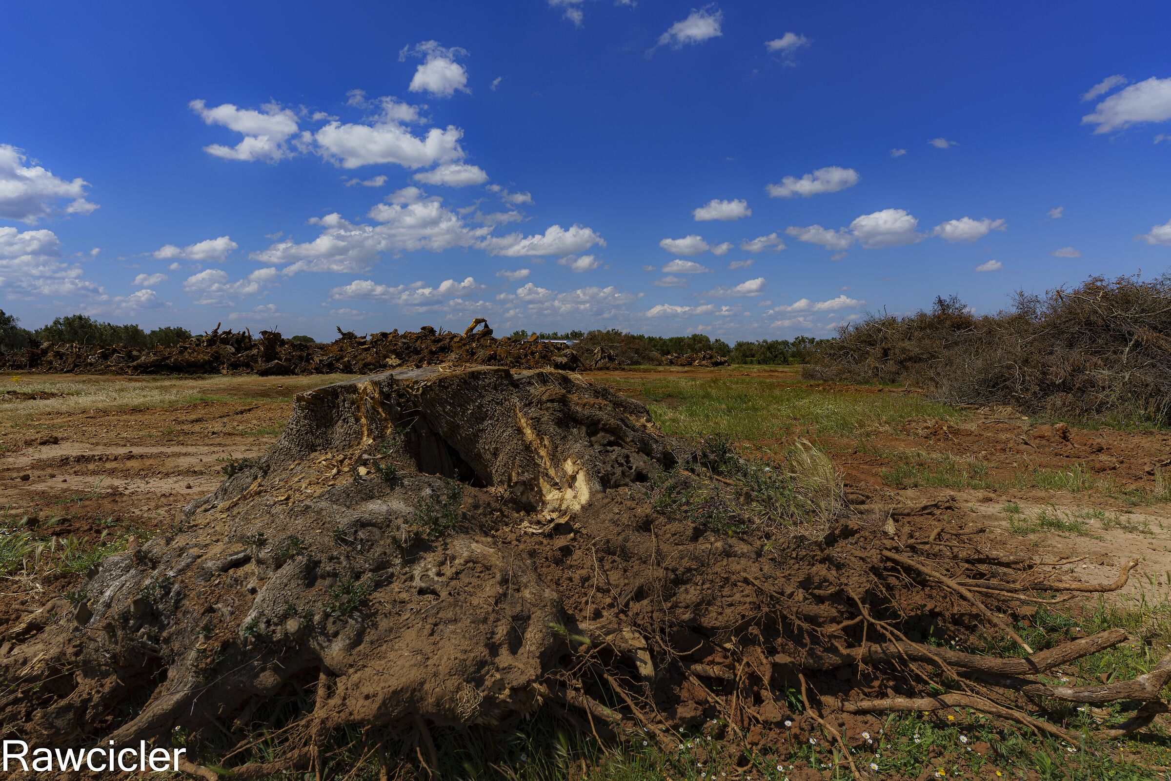 The Anguish of Nature
