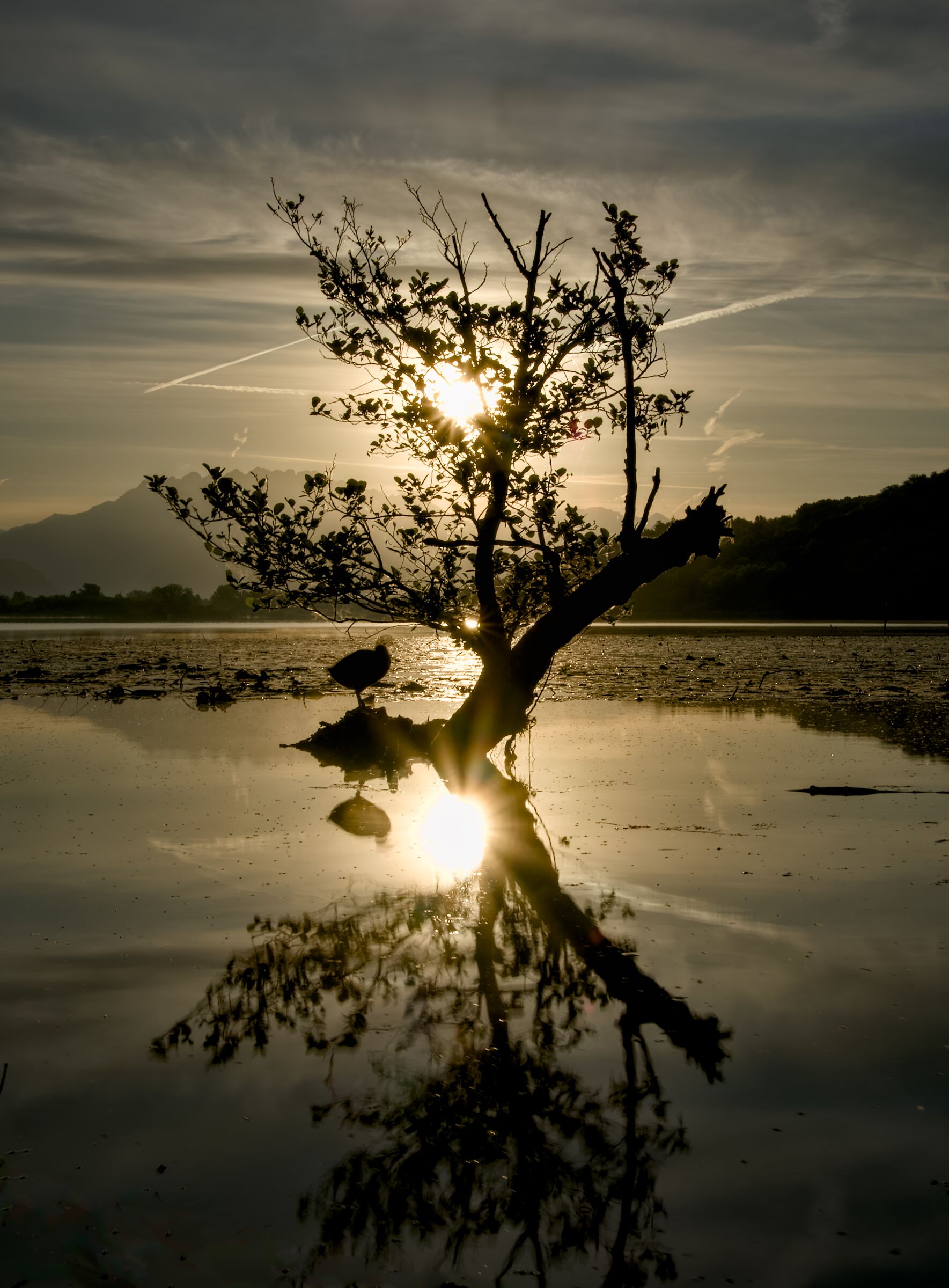 Custode del Sole