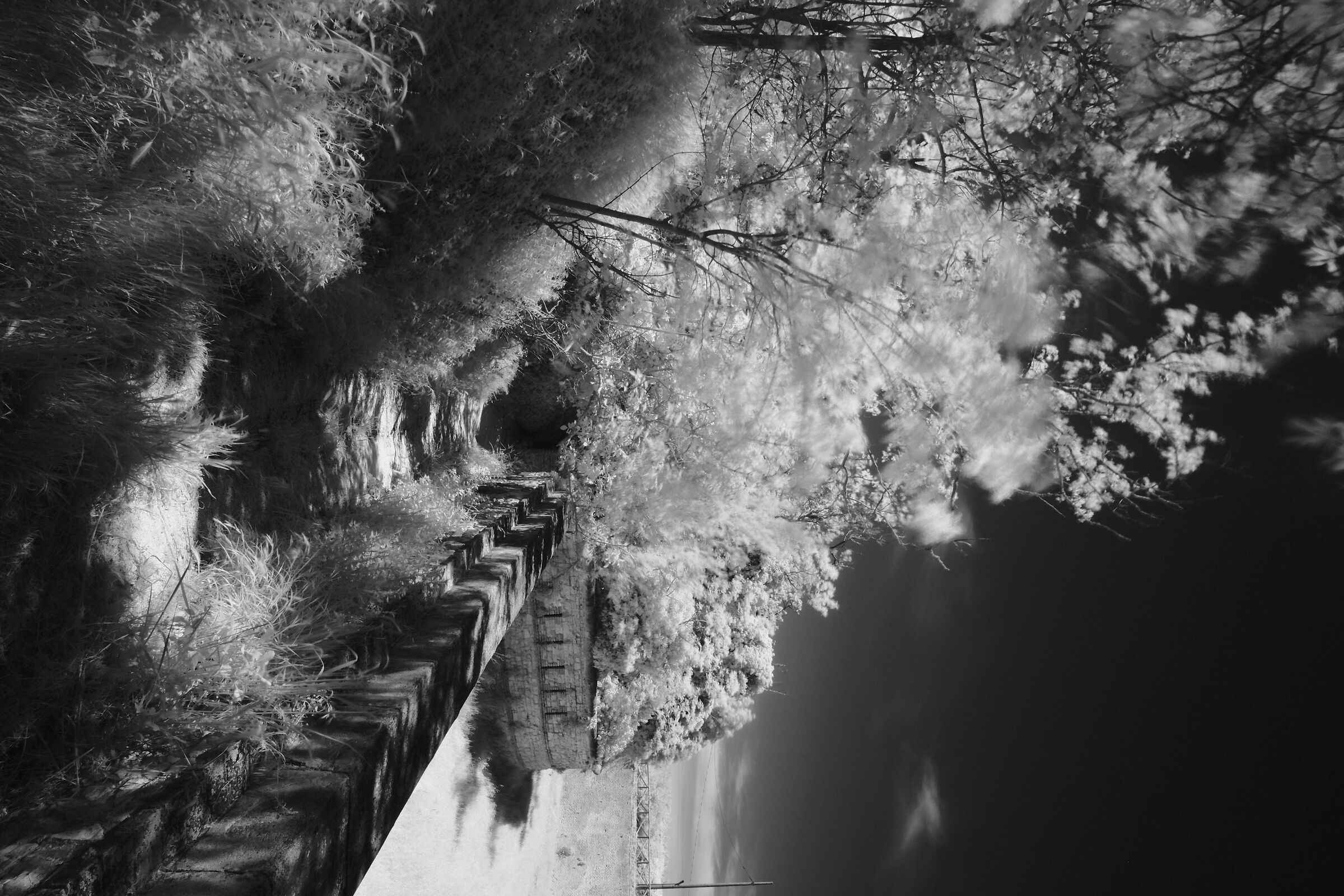 ......