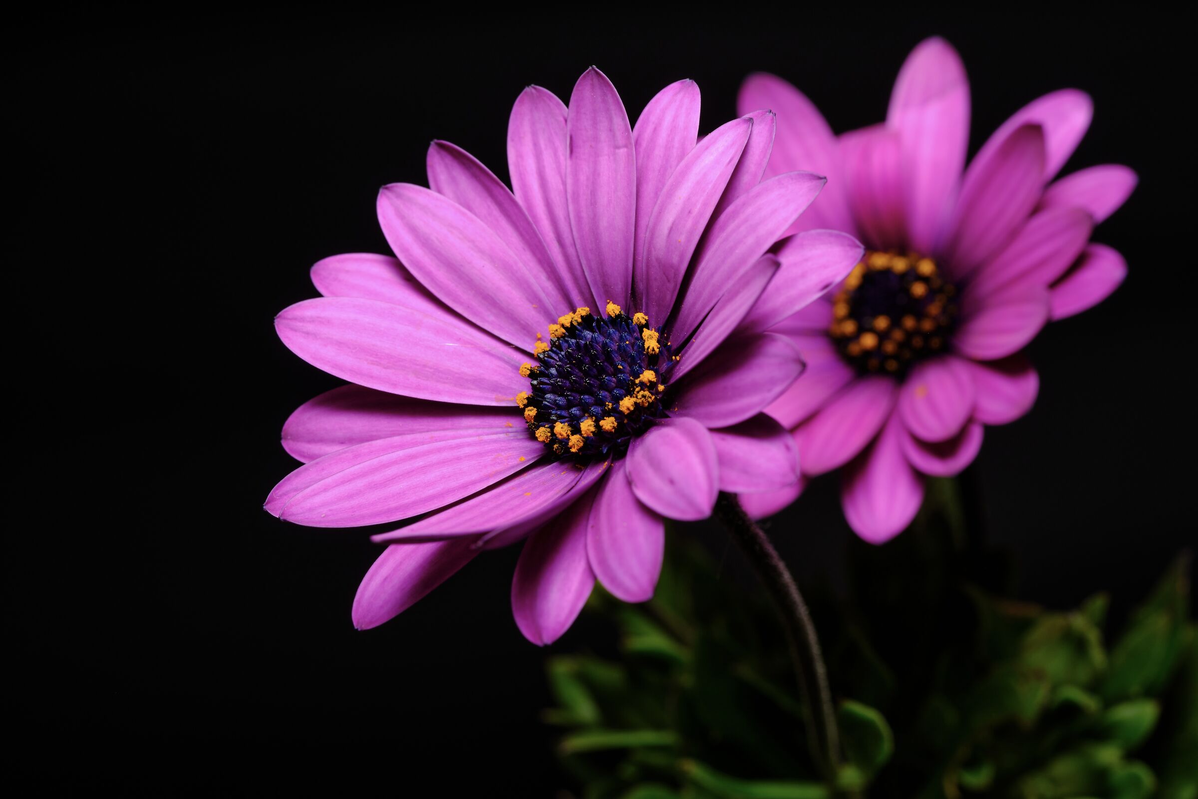 Untitled Photo