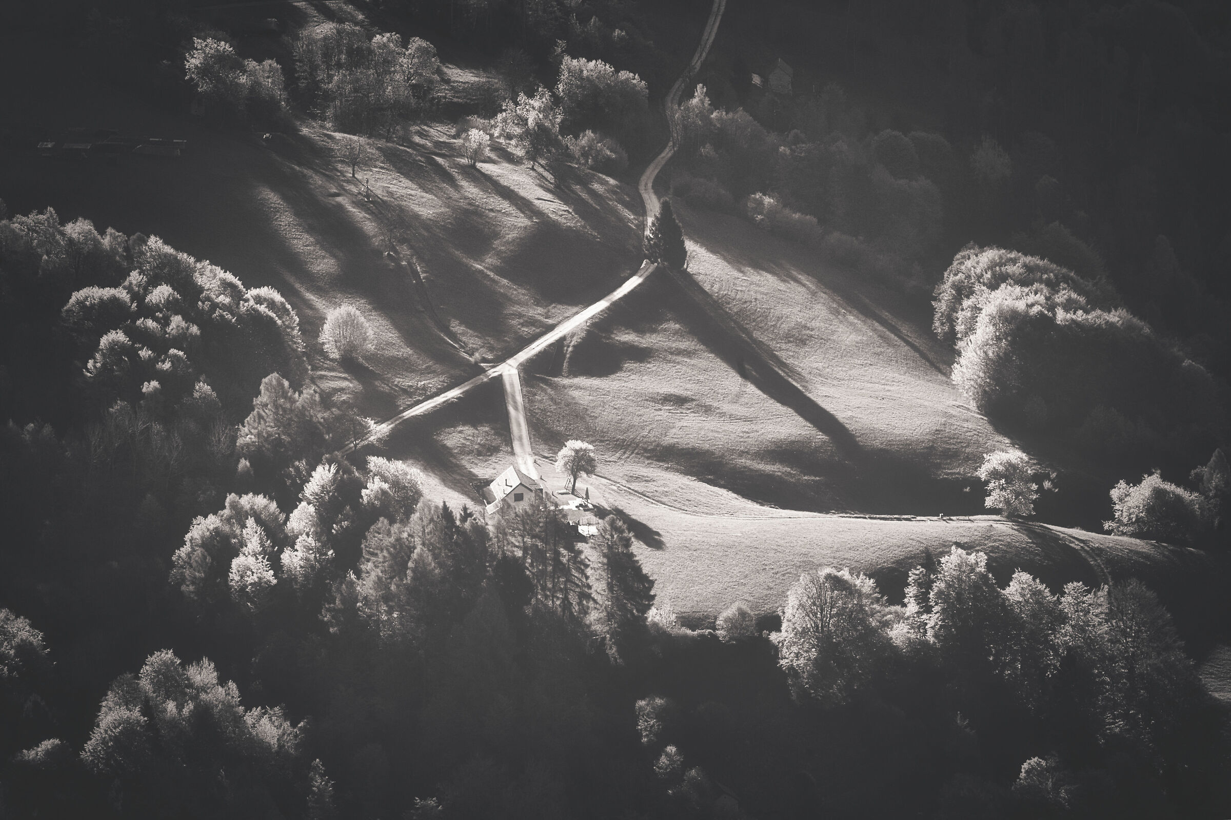 the X and Y