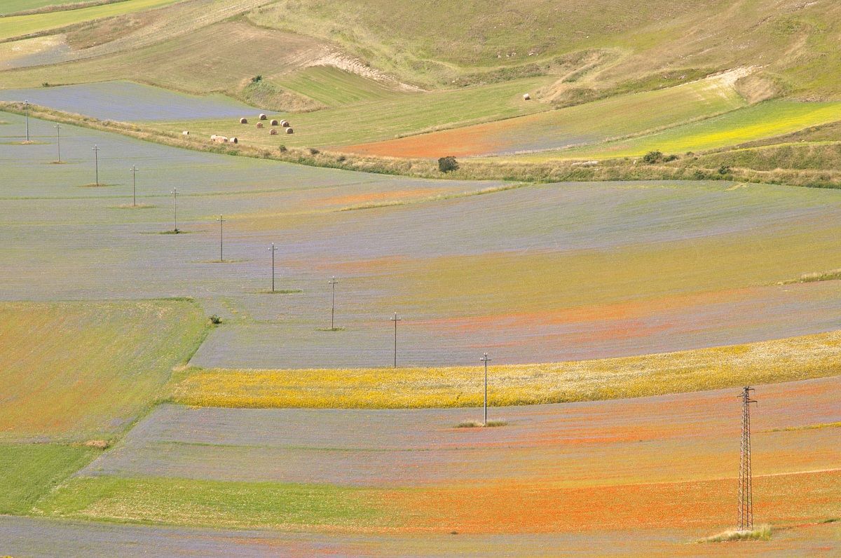 Castelluccio di Norcia