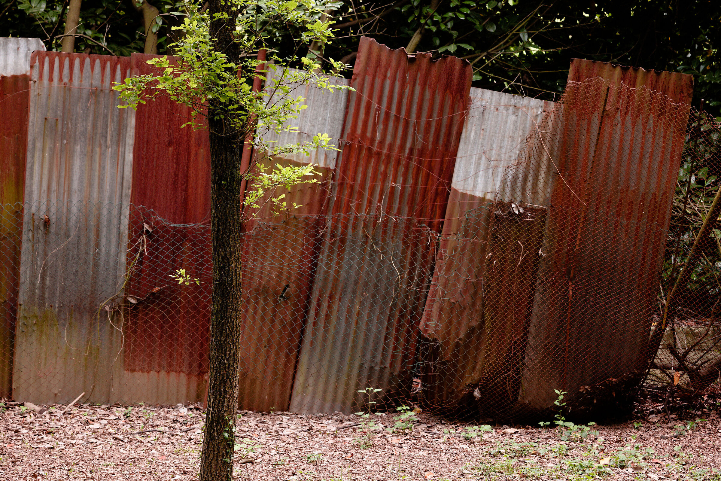 Urban decay