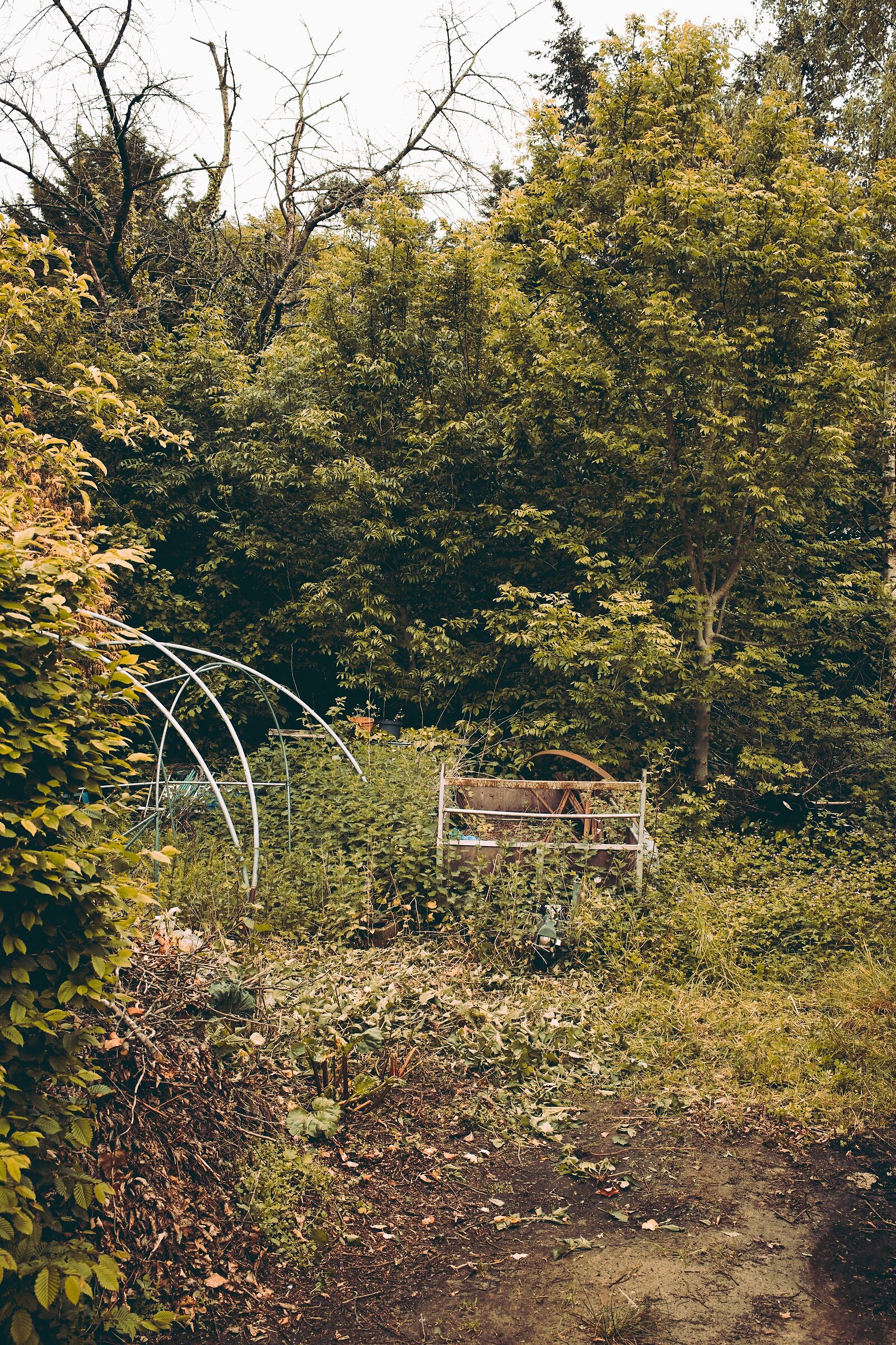Waste land
