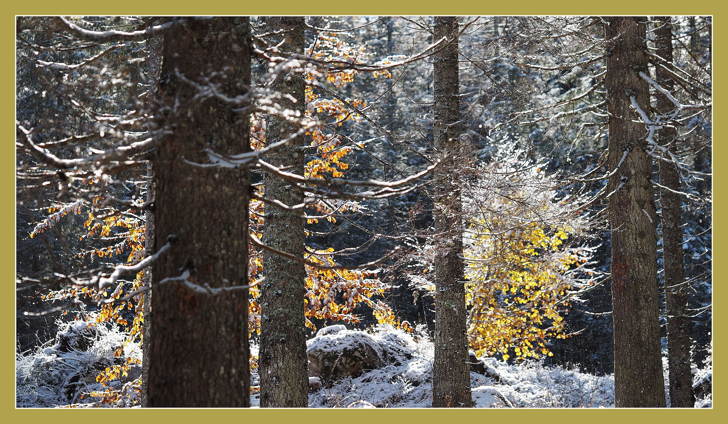 Shimmering thaw