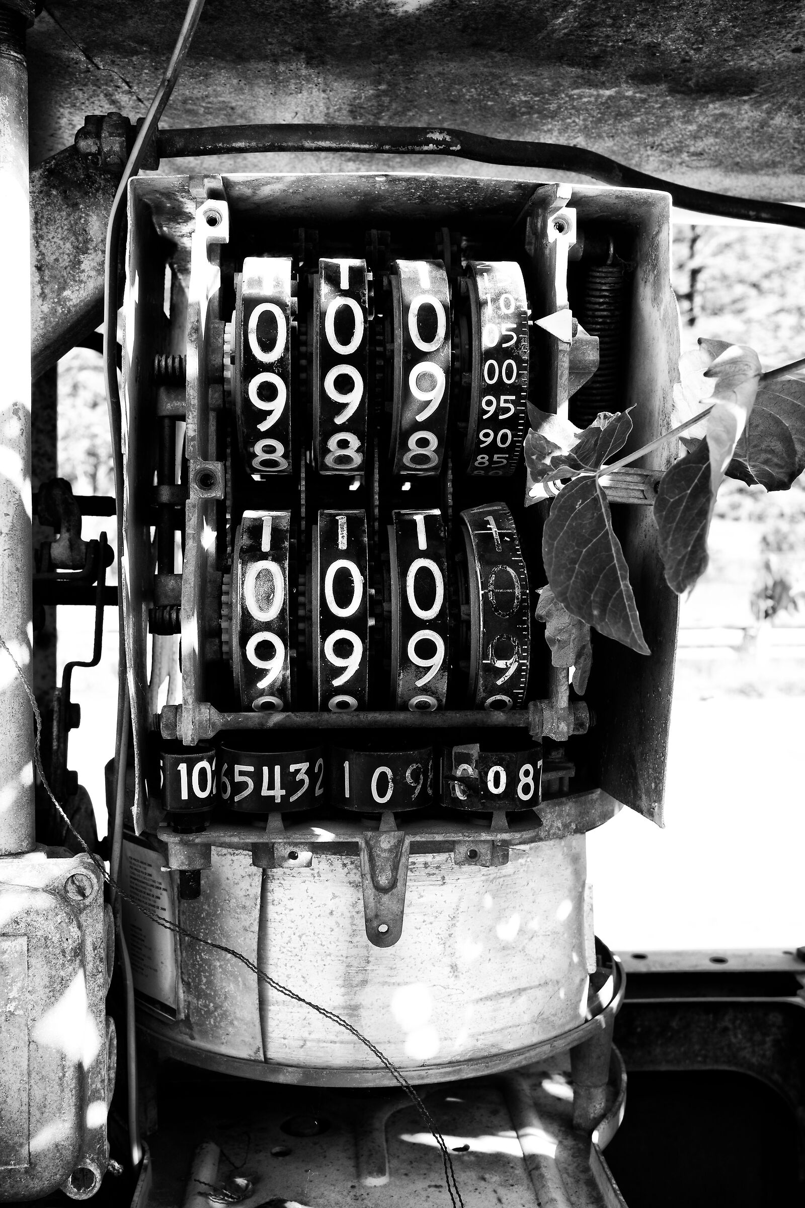Forgotten Numbers