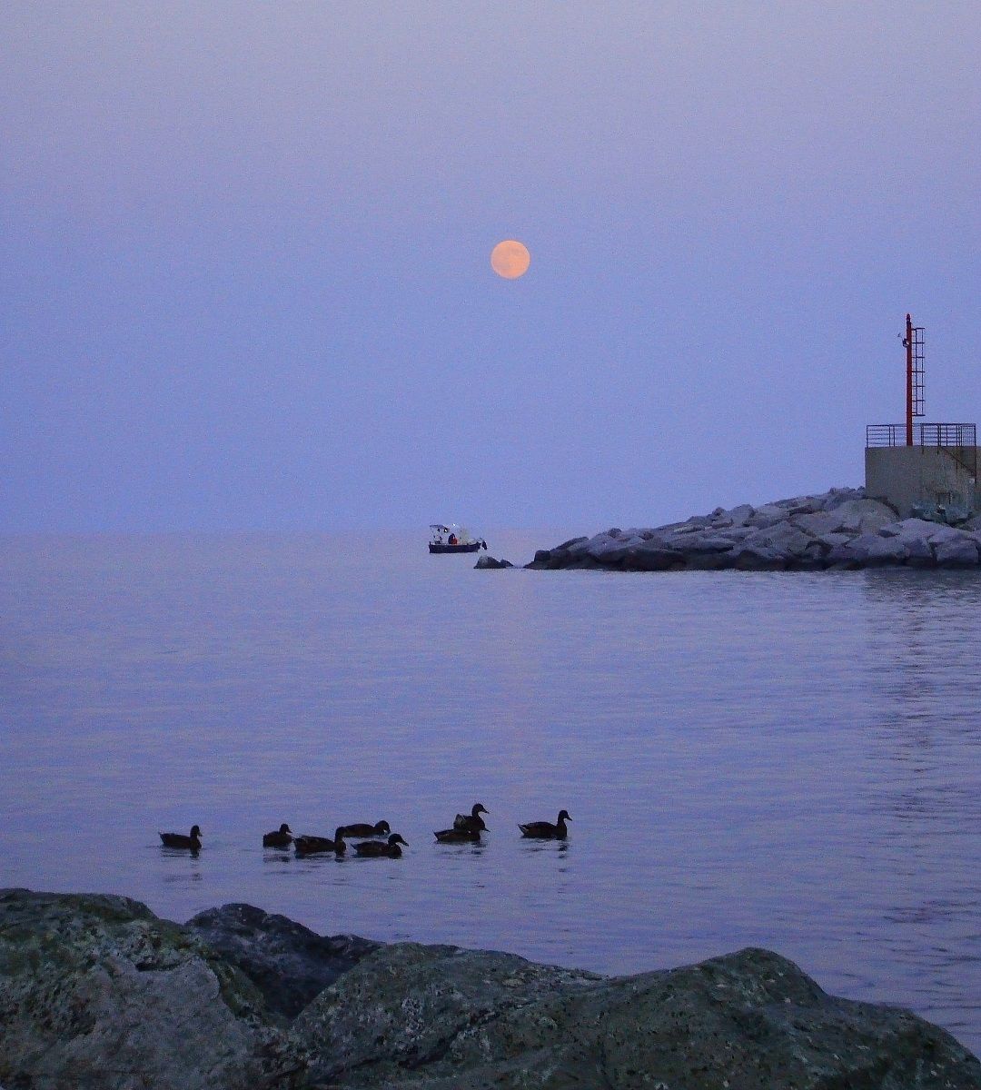 The moon and the fisherman