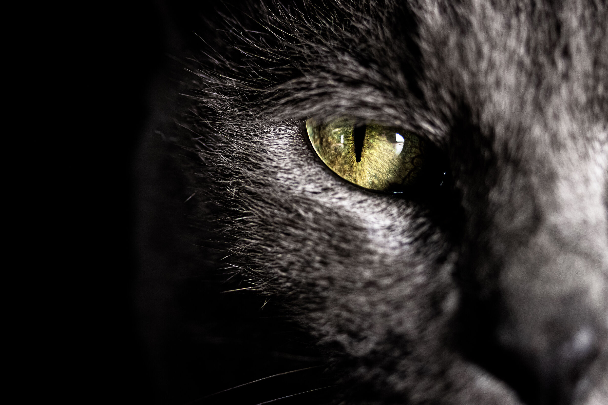 I am the danger!