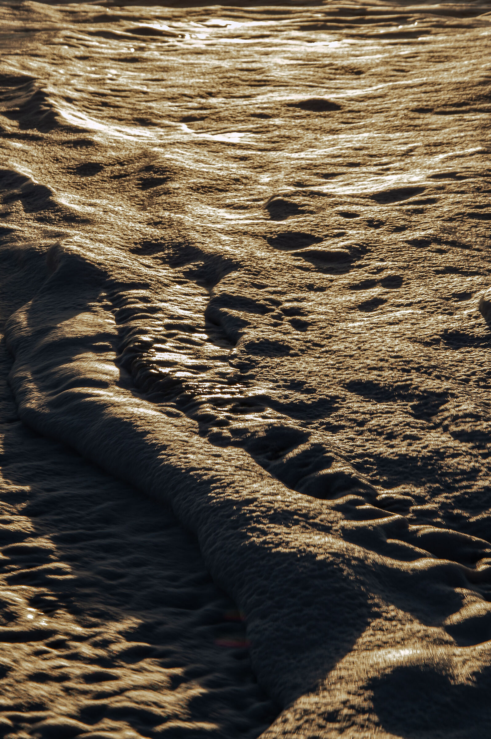 Schiuma del mare