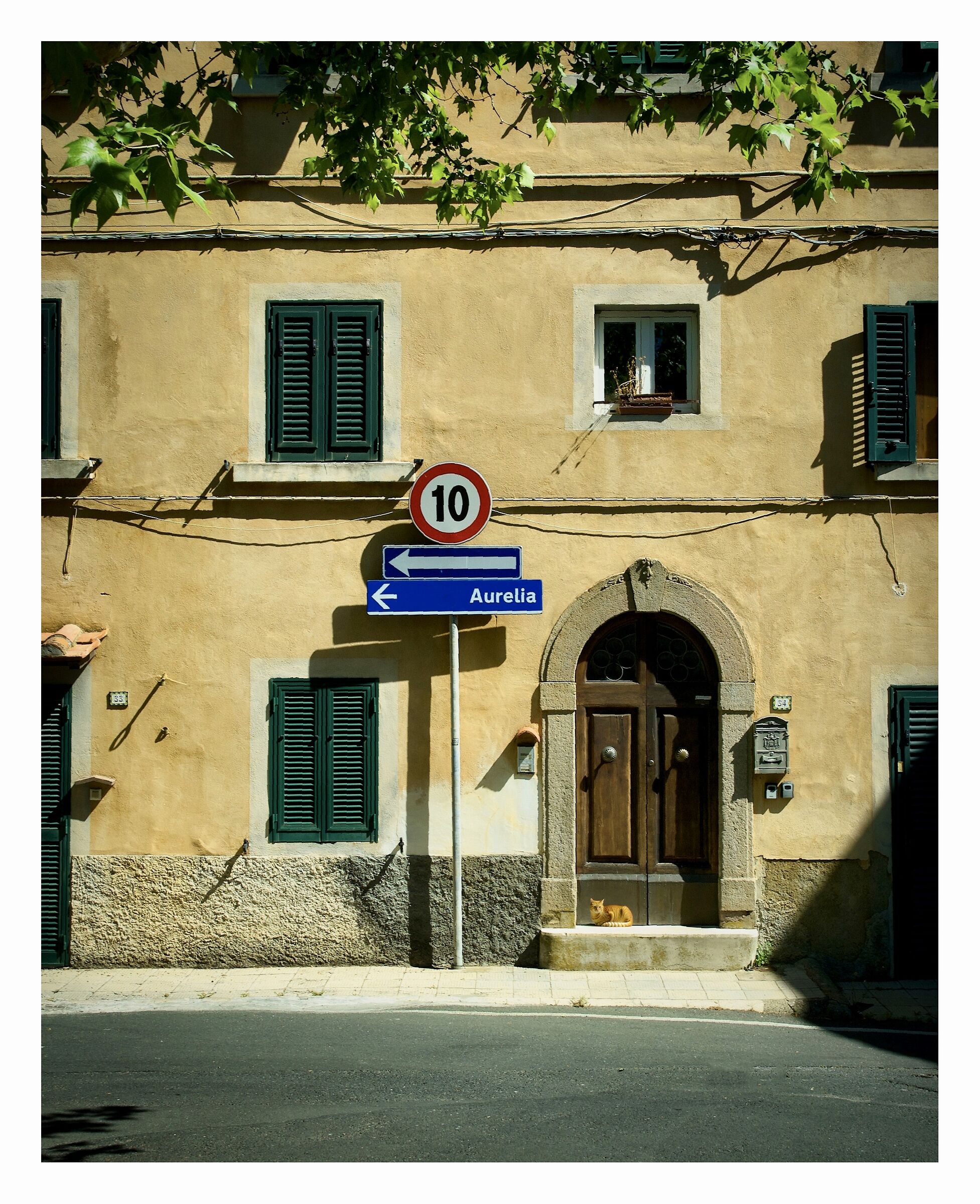 Castagneto Carducci LI