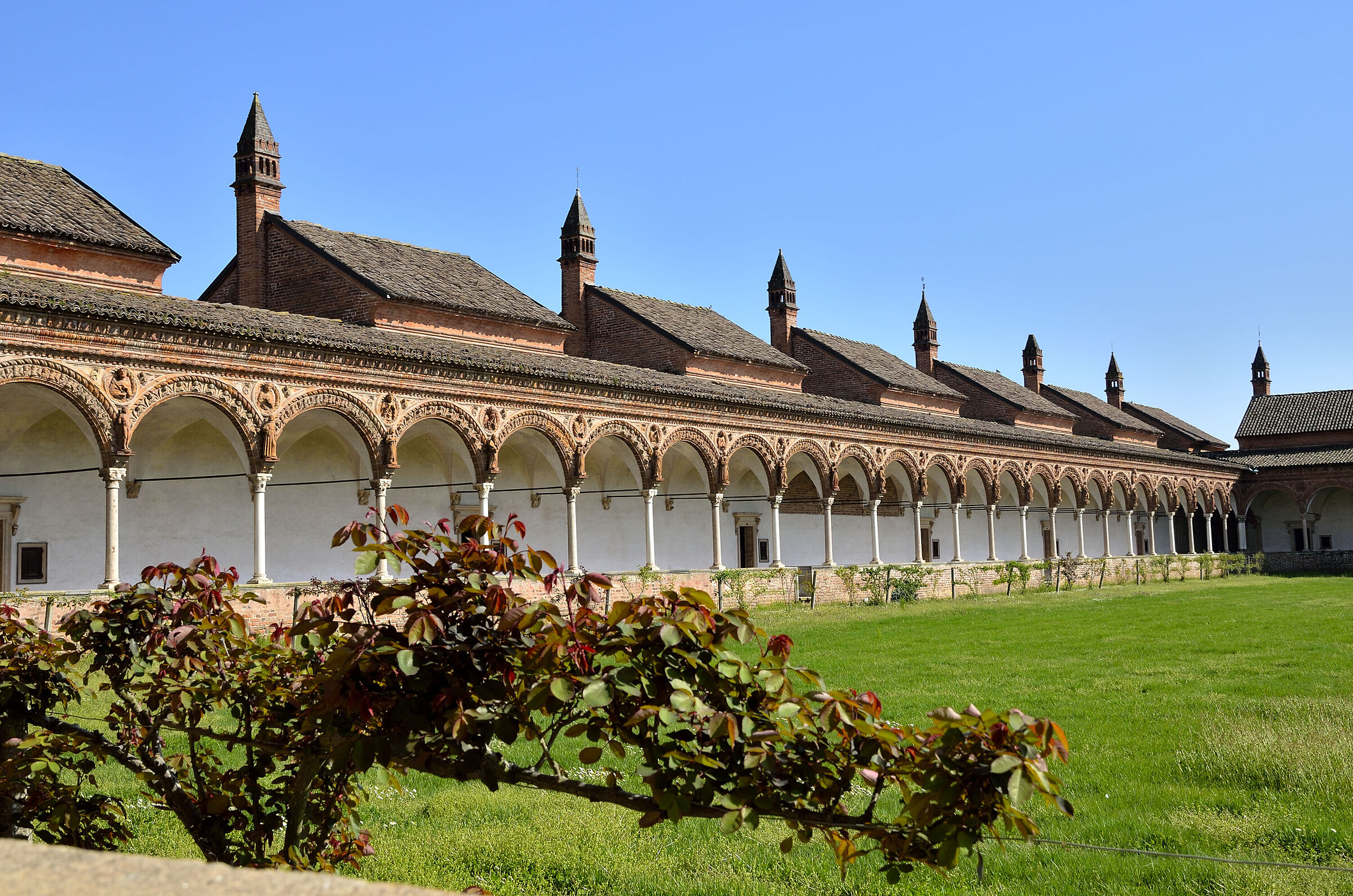 La Certosa di Pavia-Chiostro grande
