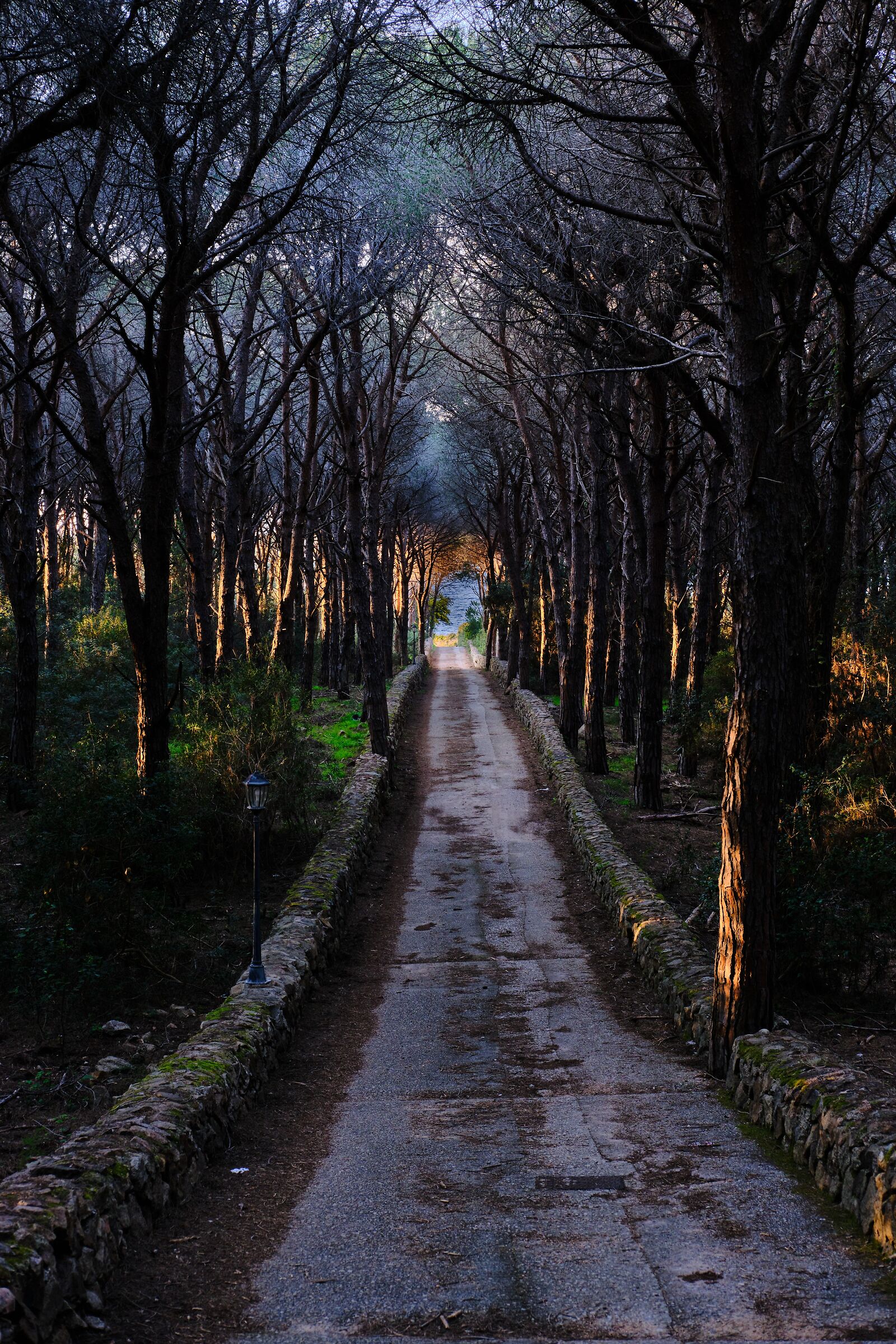 Path to the sea