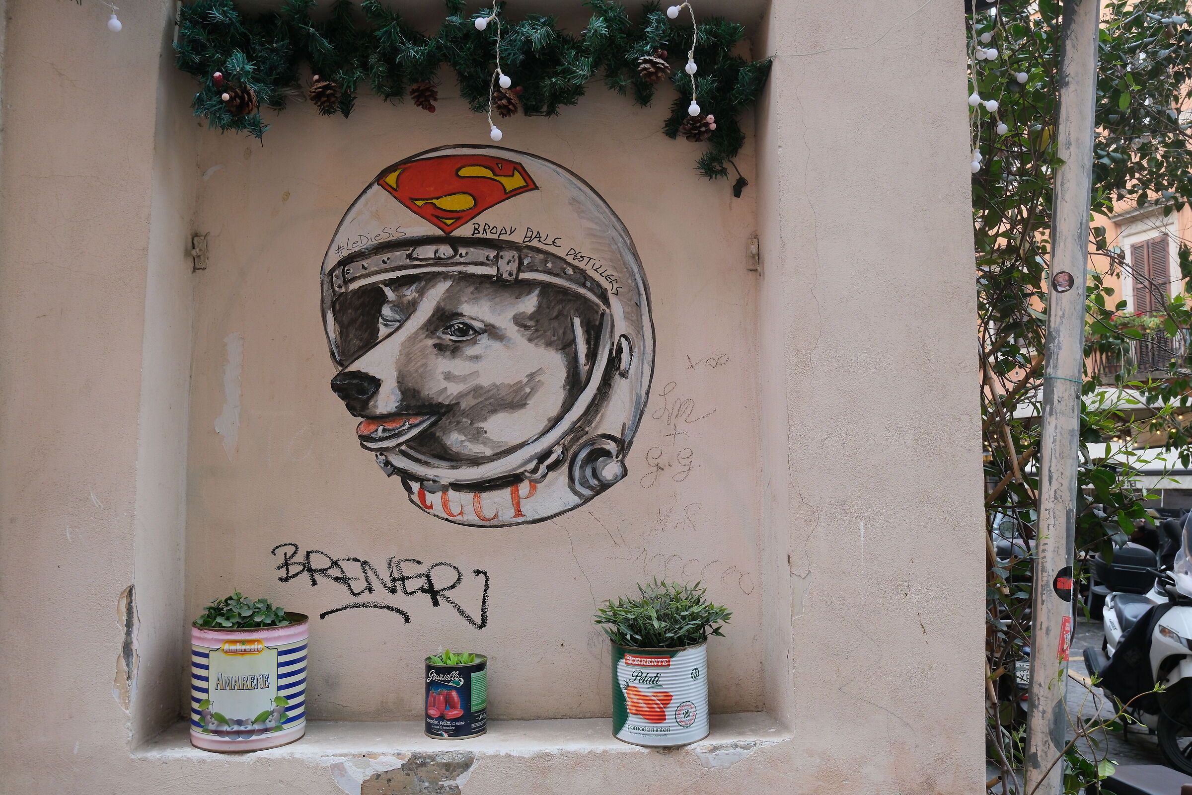 Doggo Murals