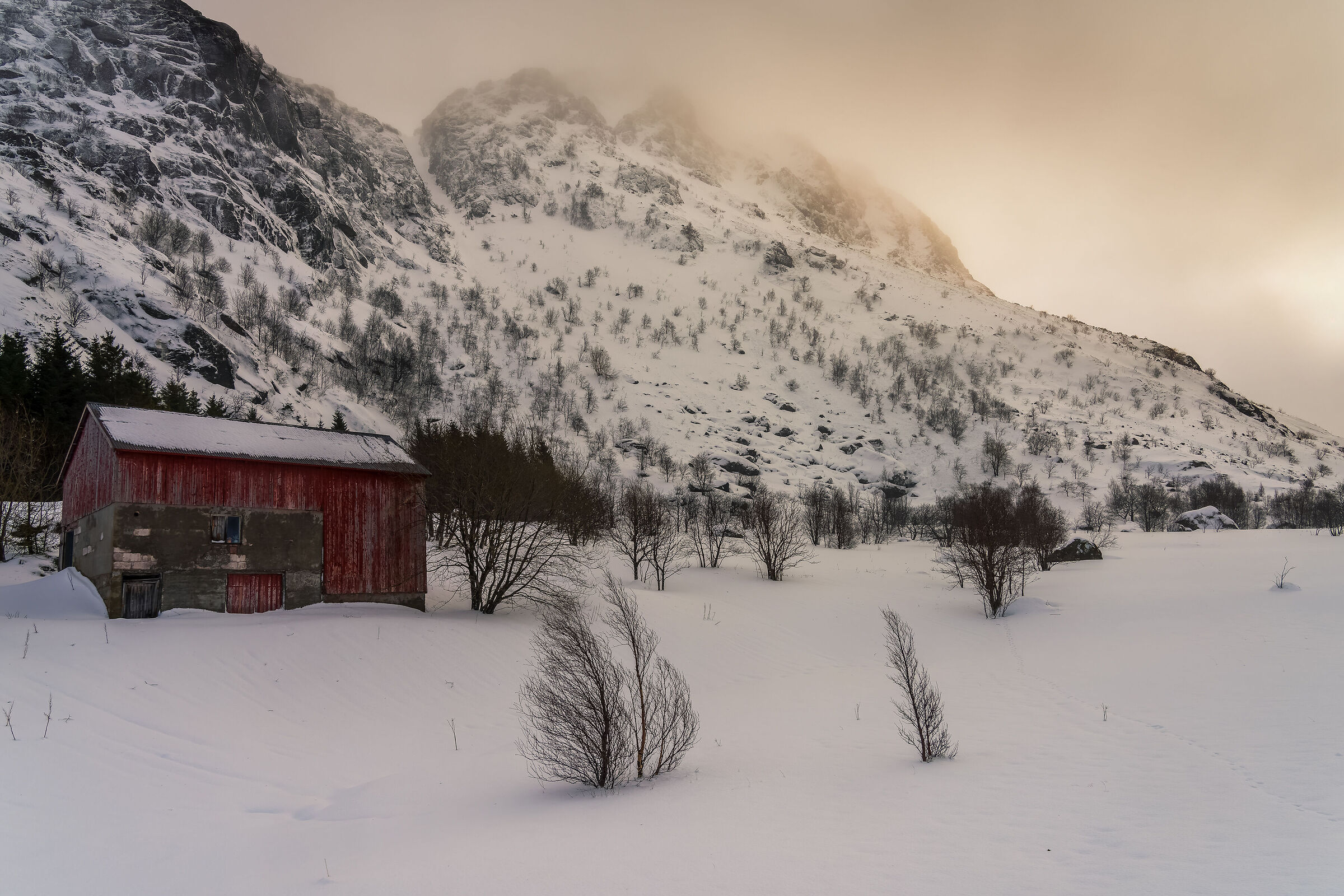 Norwegian views