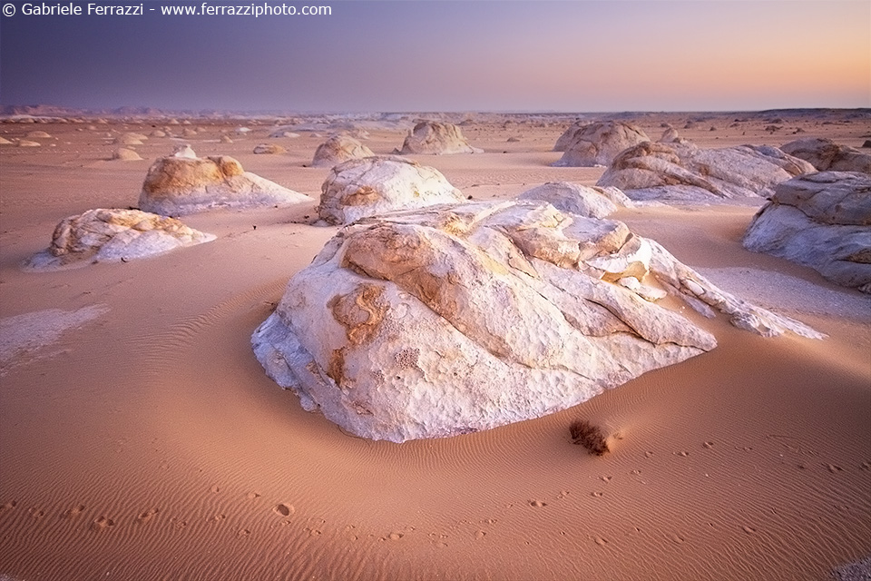 White desert, red morning