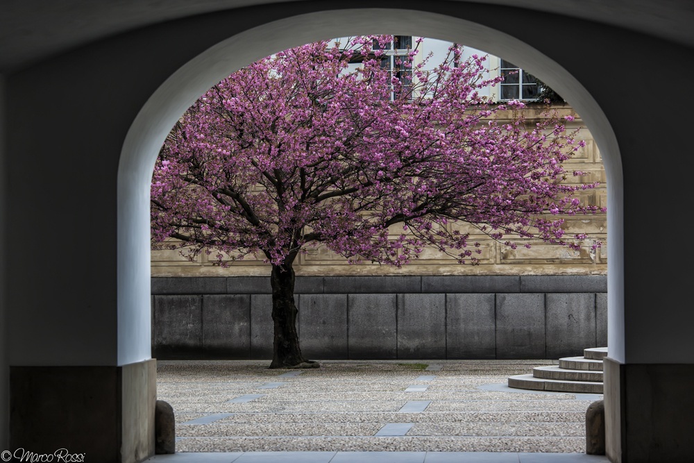 Spring in spite of everything