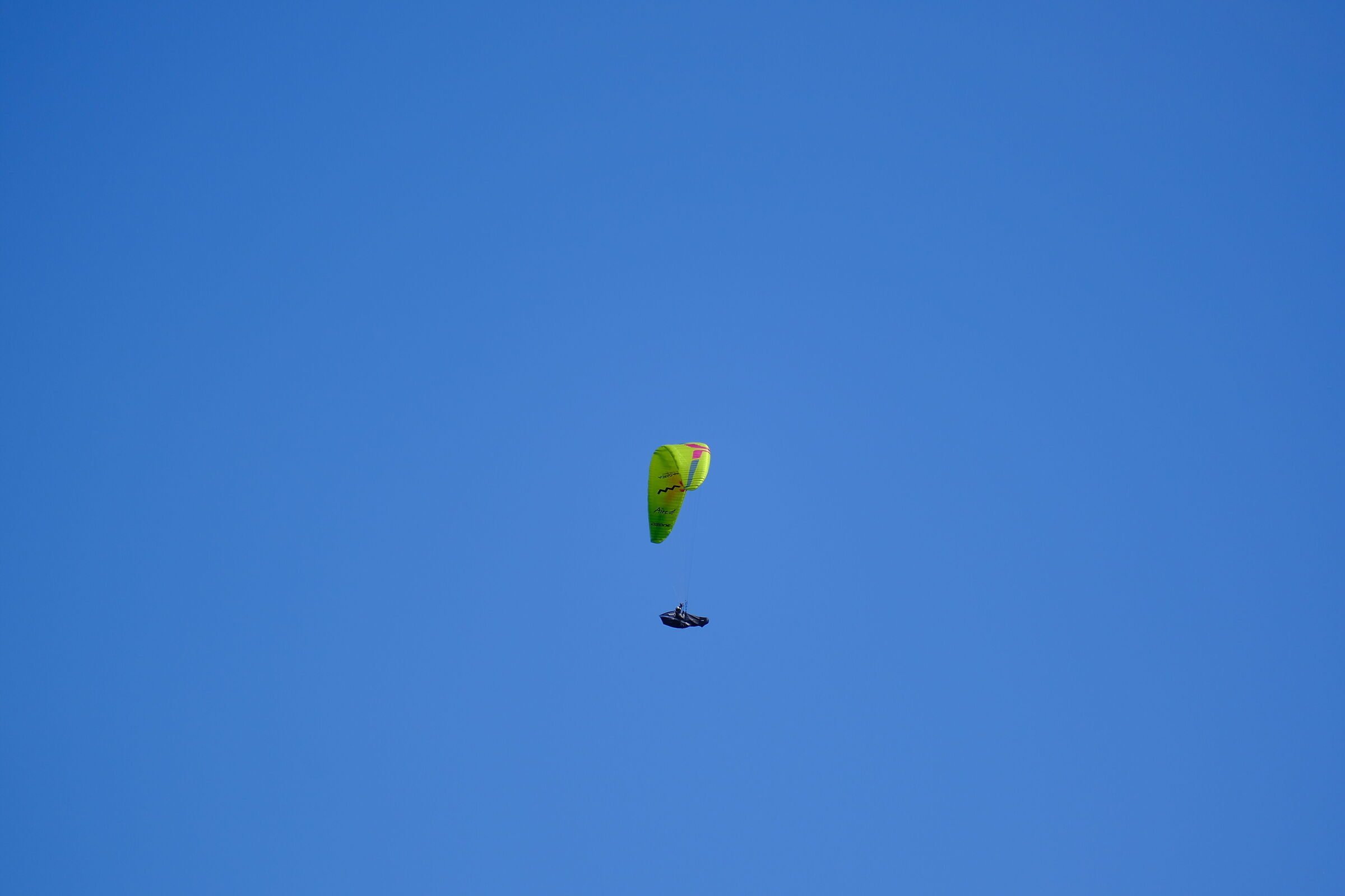 Untitled Photo
