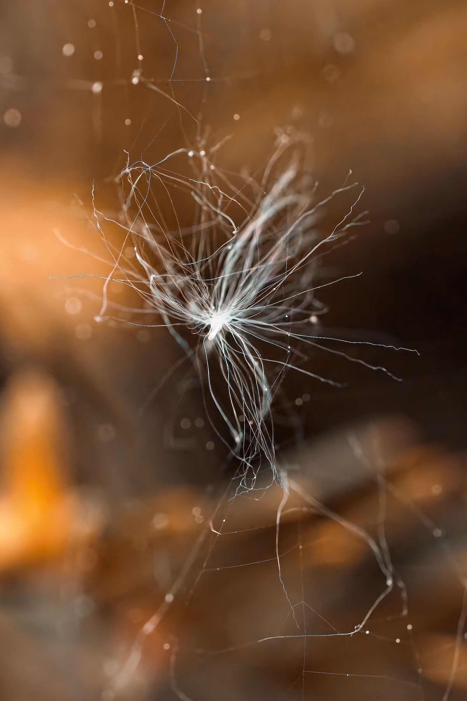 The lightness of being