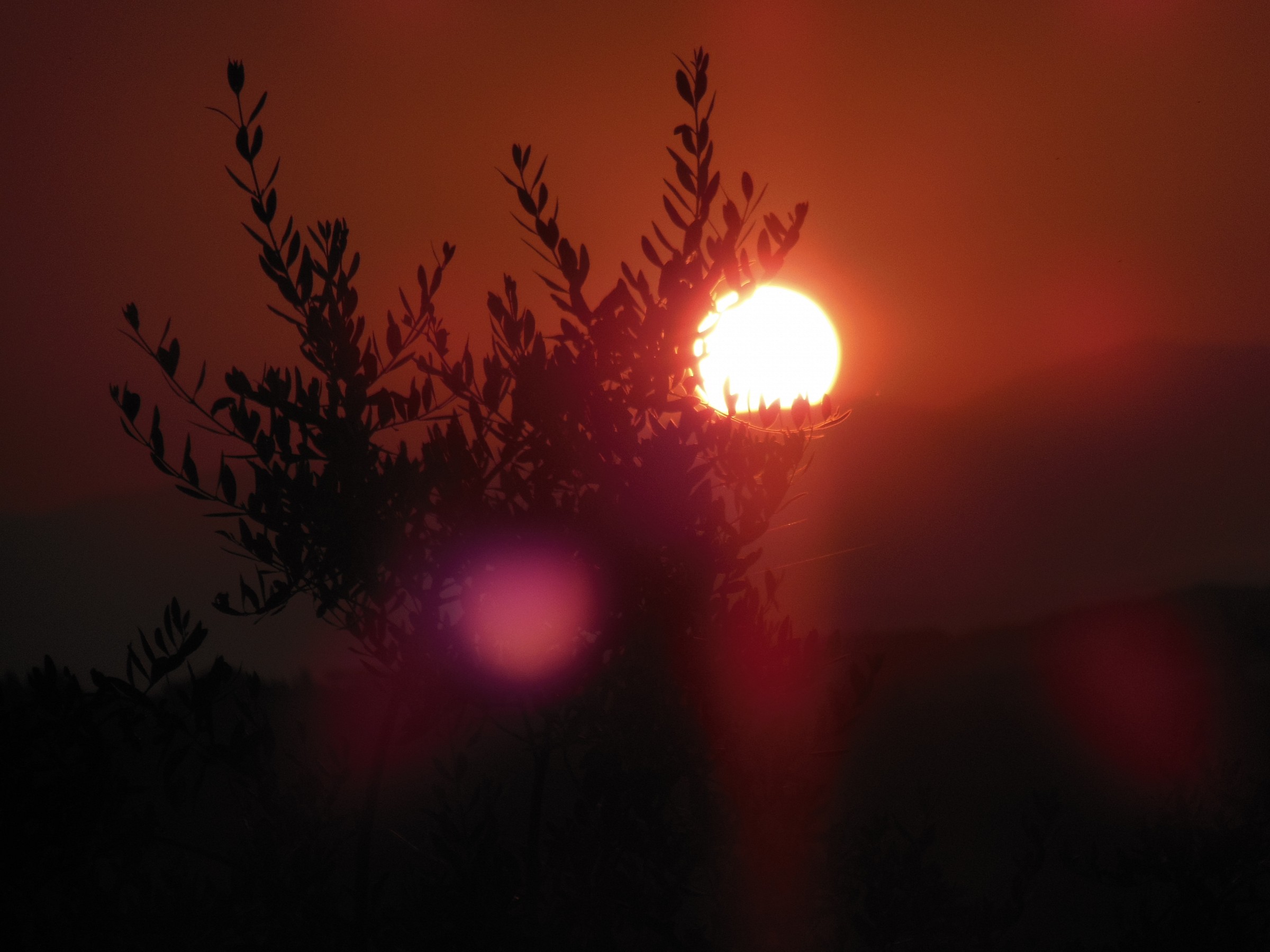 dalla nascita del sol..