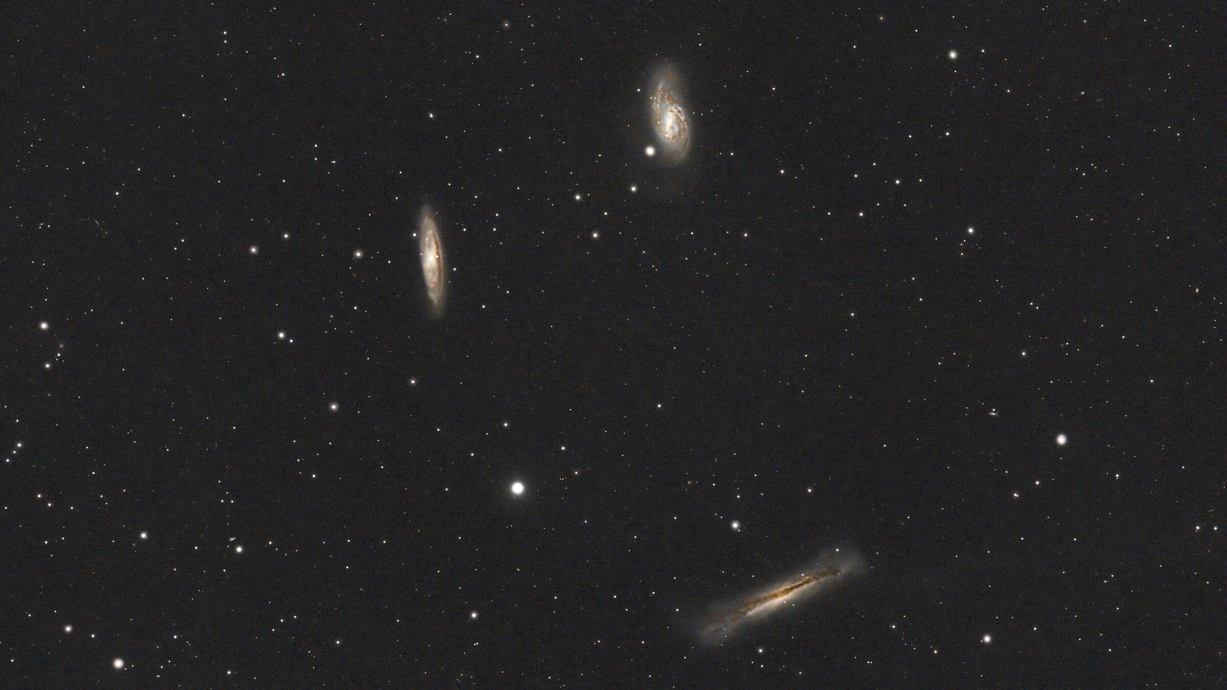 Lion triplet