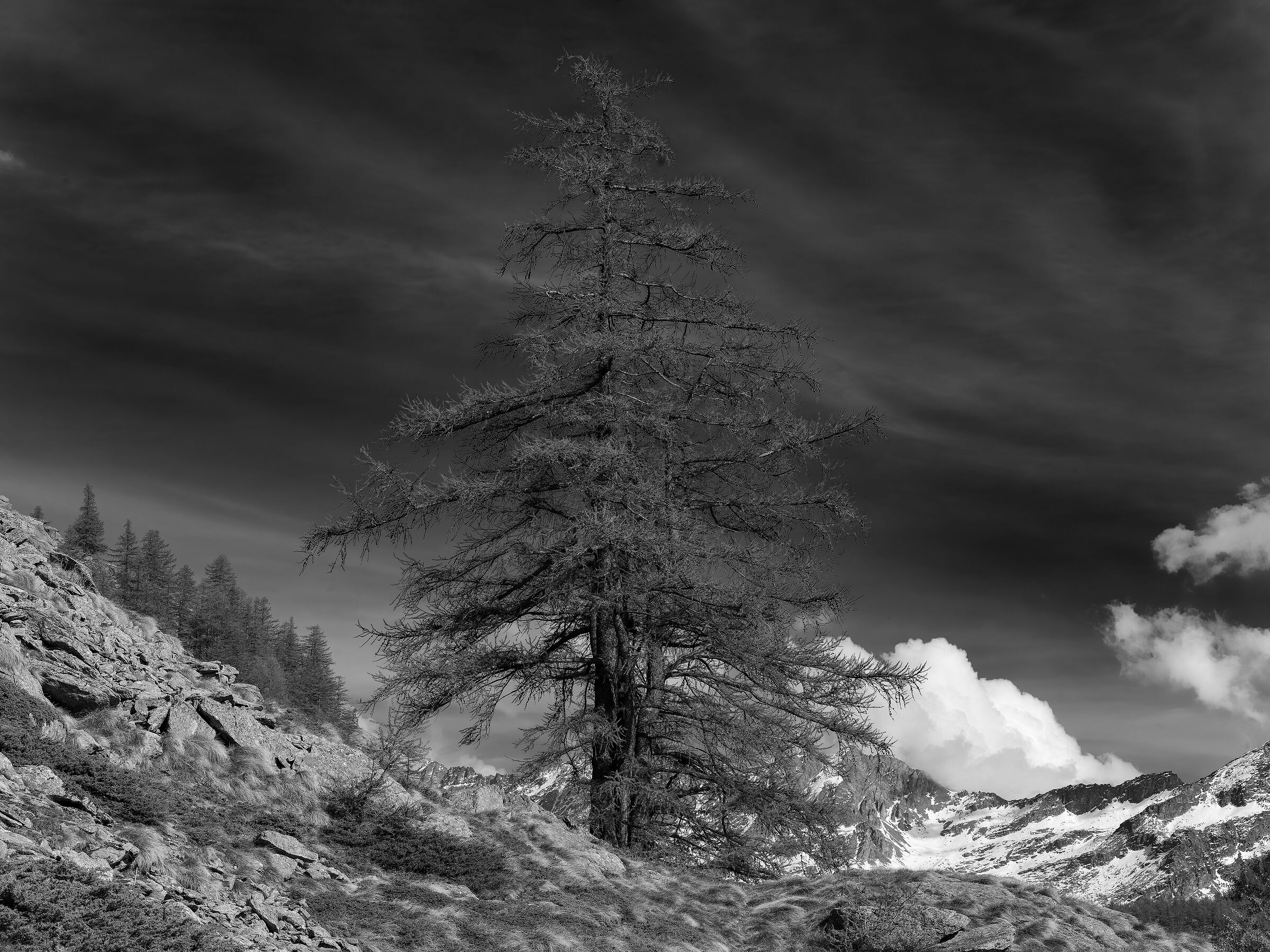 Parco Nazionale Gran Paradiso - Valle Orco - Piemonte