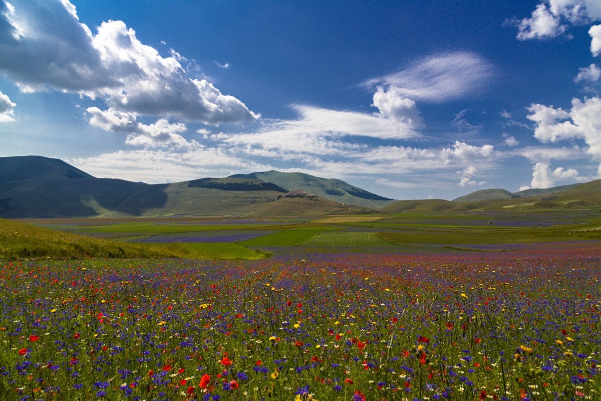 Castelluccio - Pian Grande